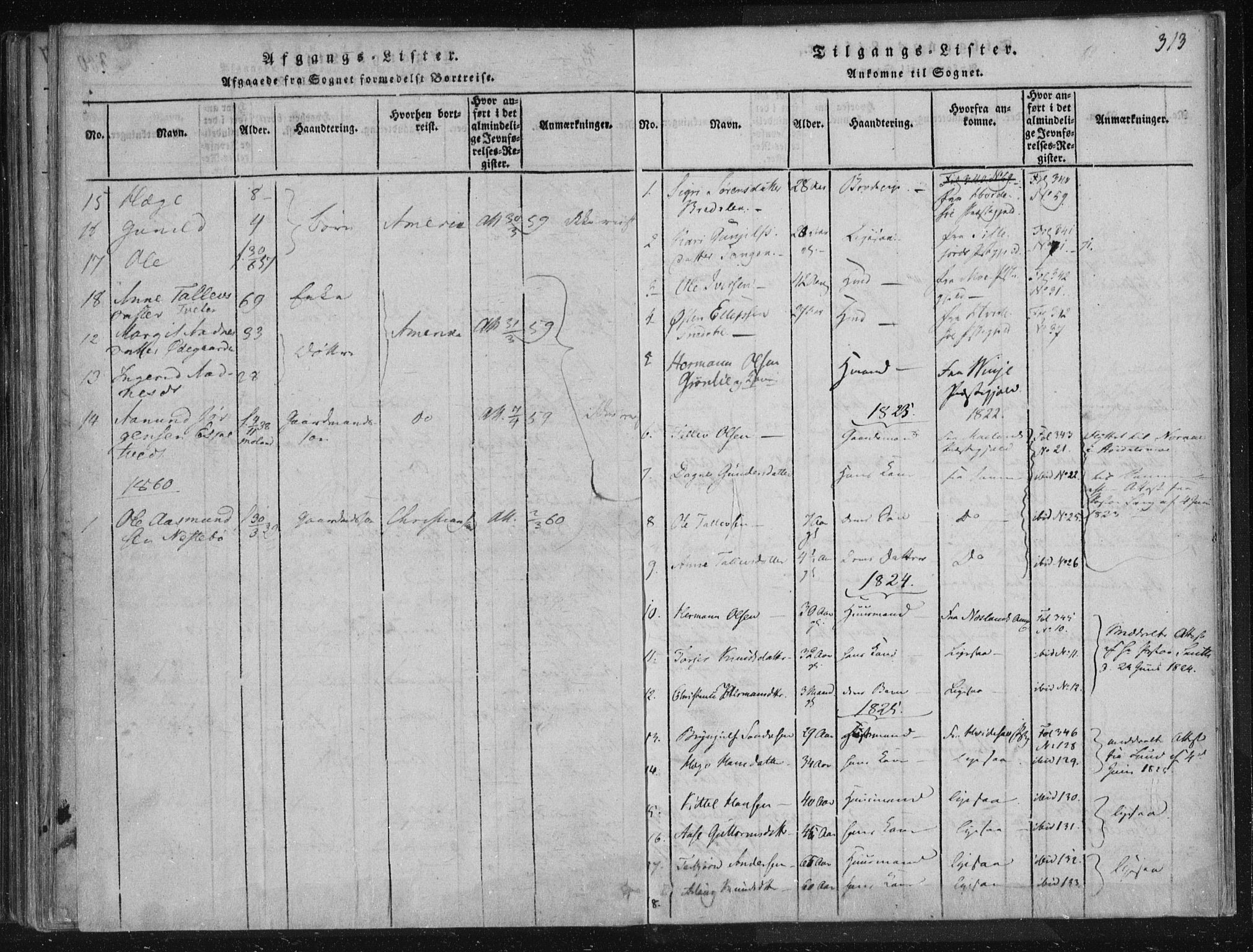 Lårdal kirkebøker, SAKO/A-284/F/Fc/L0001: Parish register (official) no. III 1, 1815-1860, p. 313