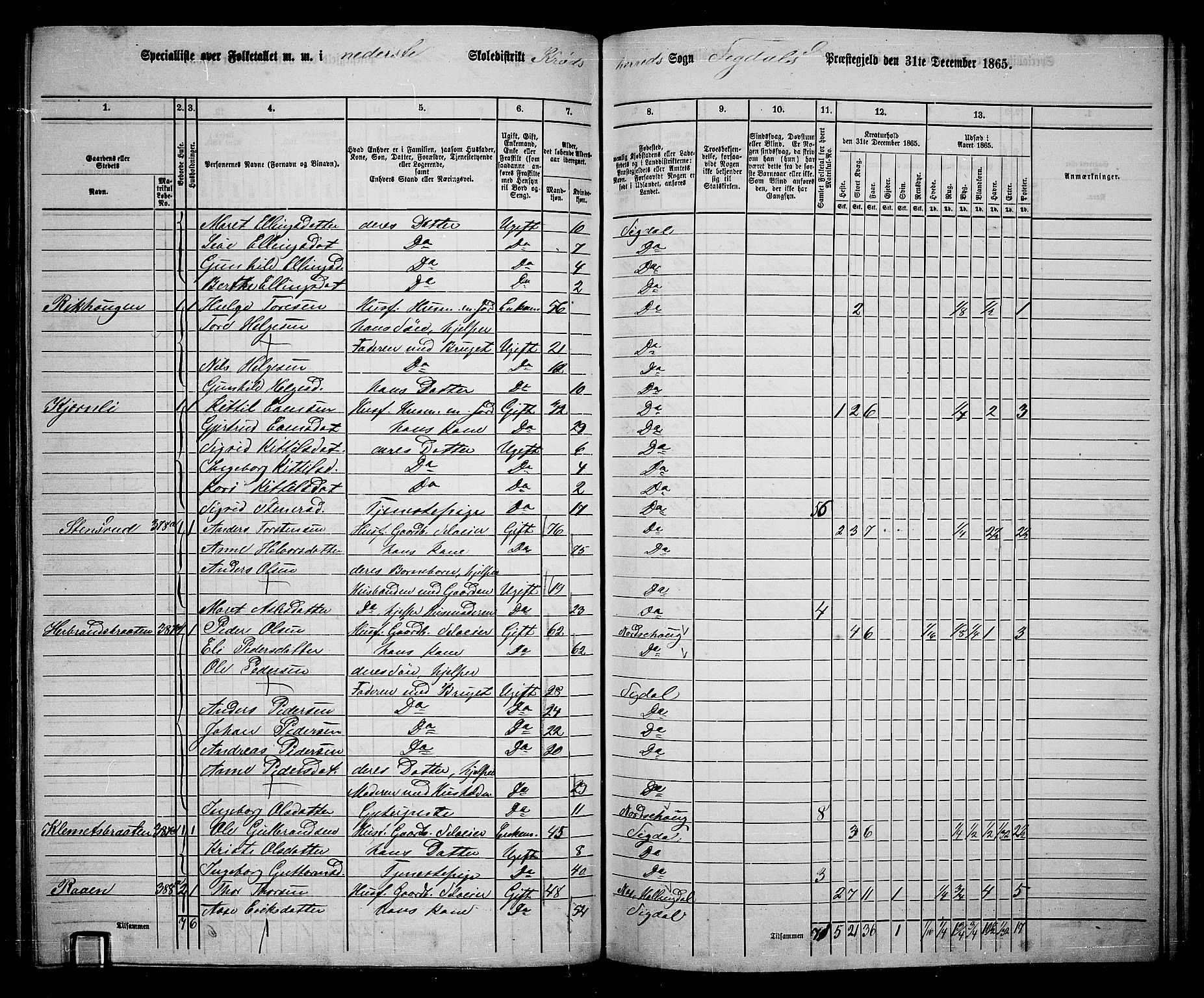 RA, 1865 census for Sigdal, 1865, p. 208