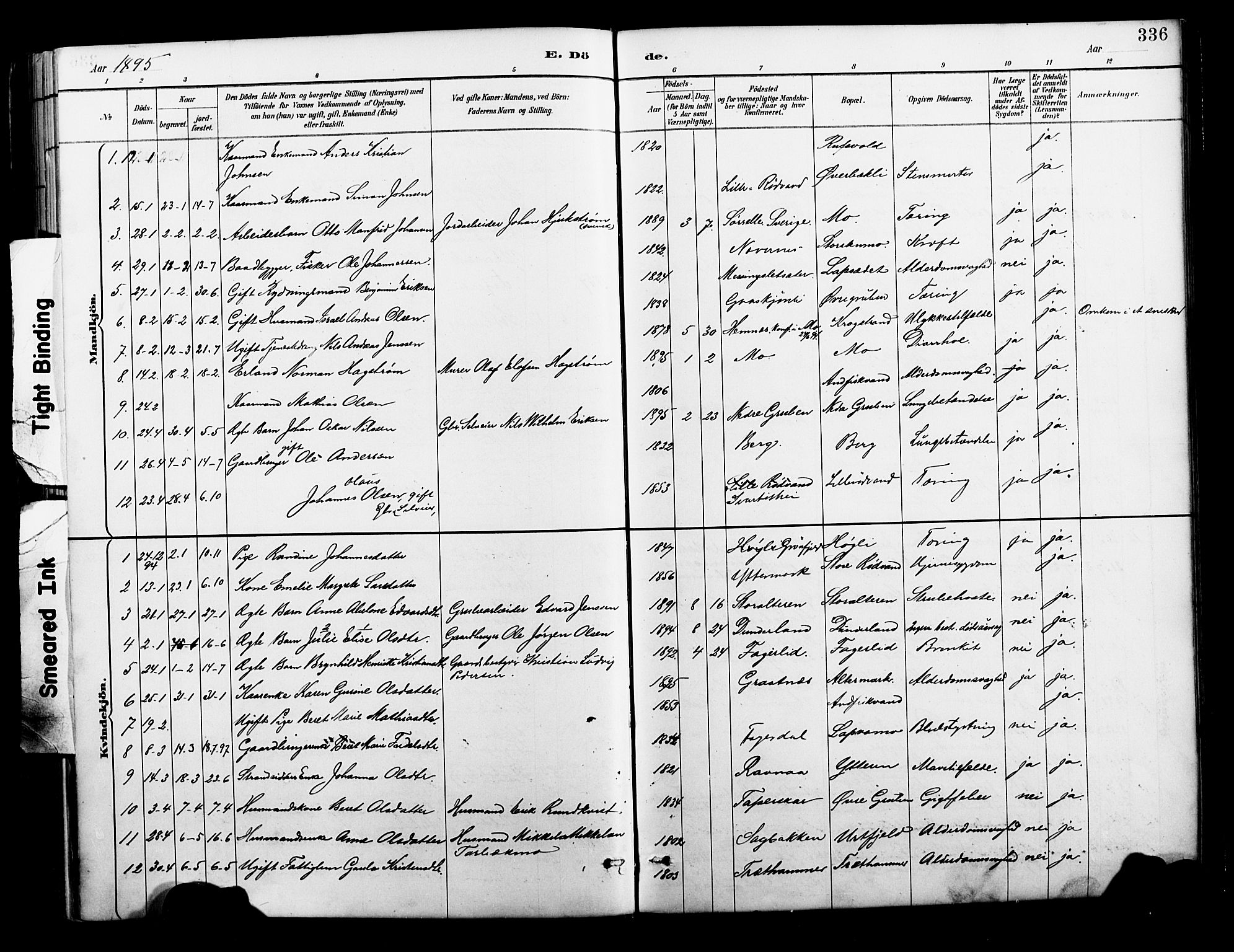 Ministerialprotokoller, klokkerbøker og fødselsregistre - Nordland, SAT/A-1459/827/L0421: Parish register (copy) no. 827C10, 1887-1906, p. 336