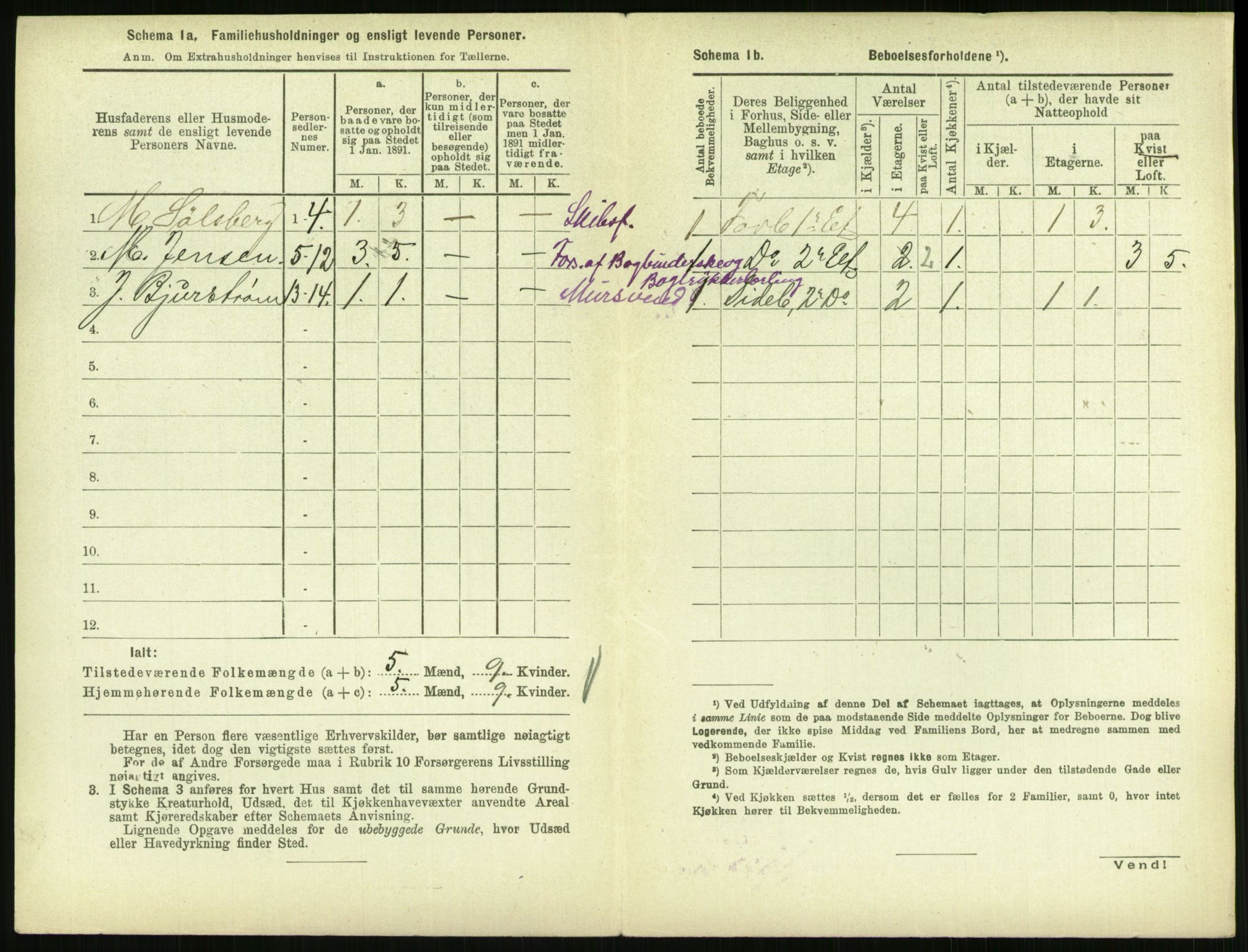 RA, 1891 census for 0707 Larvik, 1891, p. 798