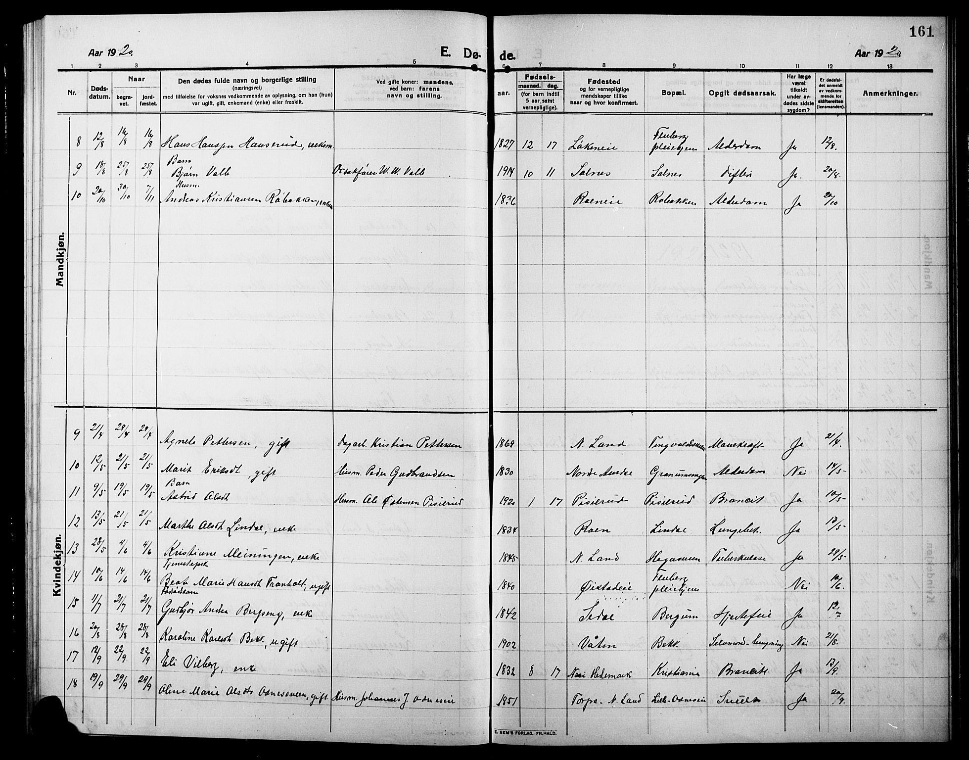 Søndre Land prestekontor, SAH/PREST-122/L/L0006: Parish register (copy) no. 6, 1912-1925, p. 161