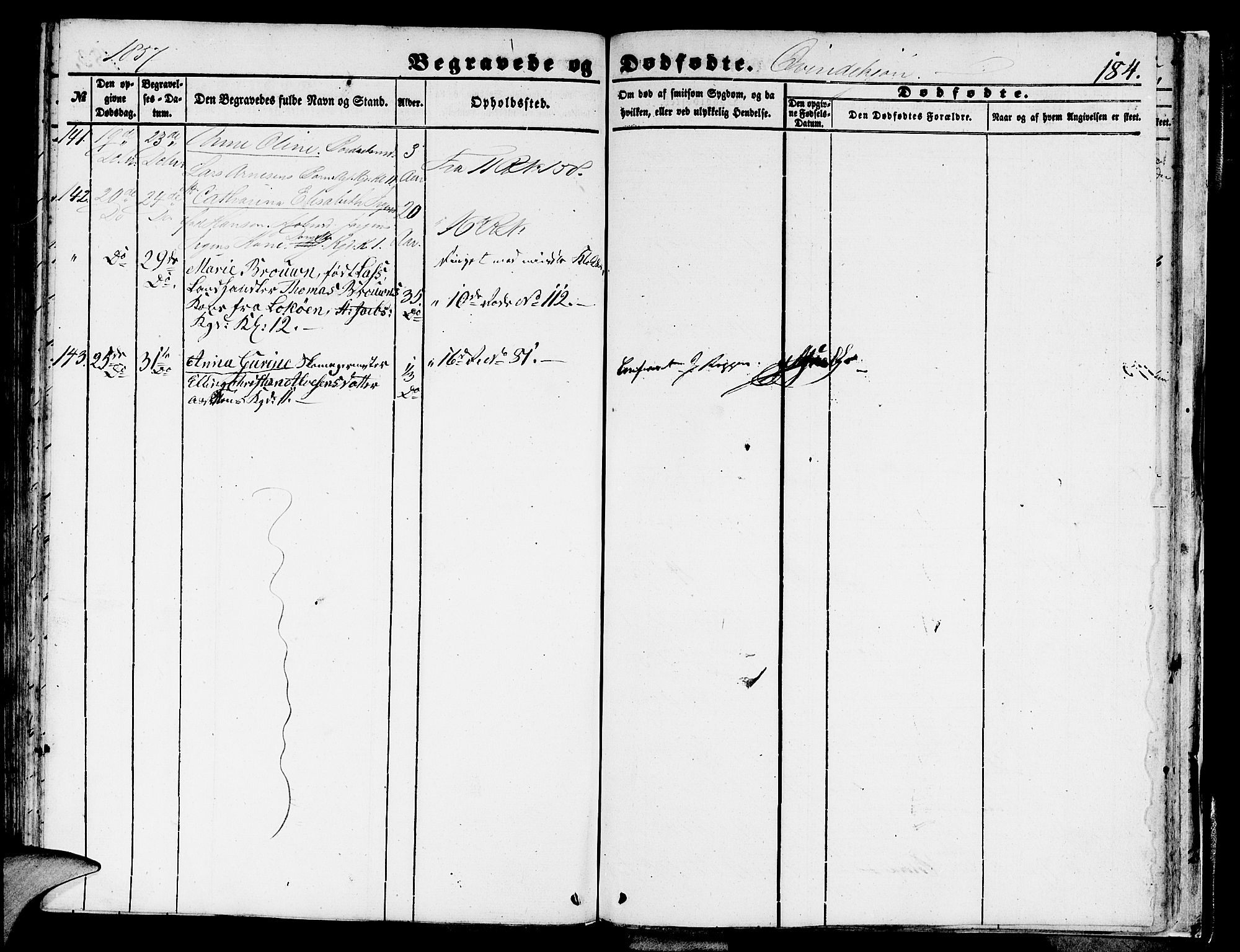 Domkirken sokneprestembete, AV/SAB-A-74801/H/Hab/L0038: Parish register (copy) no. E 2, 1847-1859, p. 184