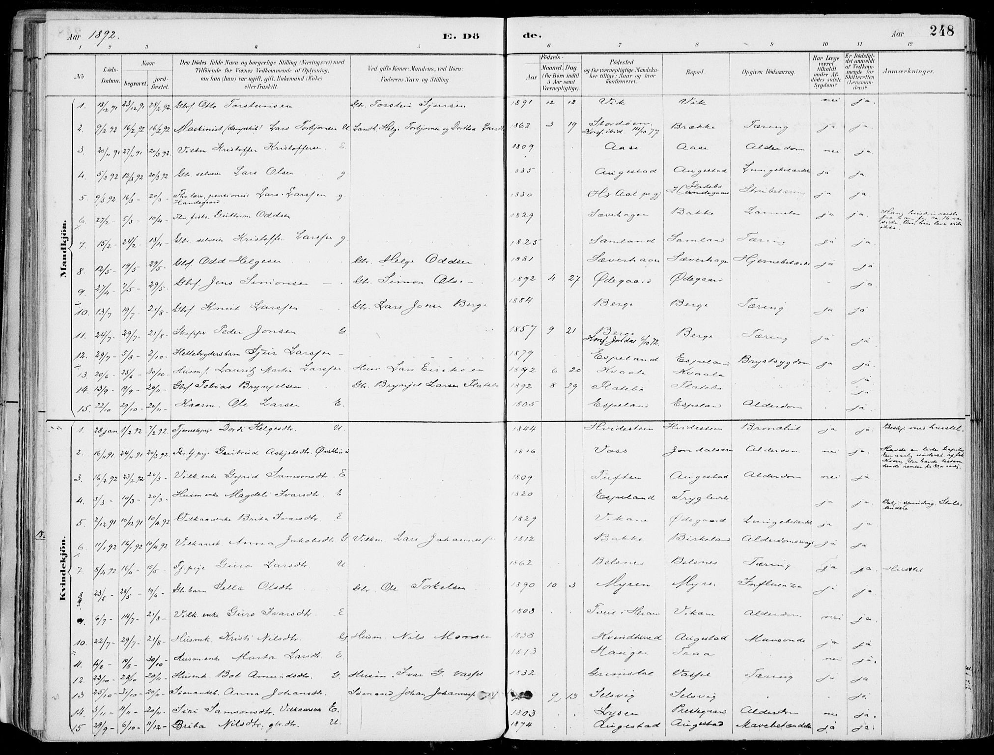 Strandebarm sokneprestembete, SAB/A-78401/H/Haa: Parish register (official) no. E  1, 1886-1908, p. 248