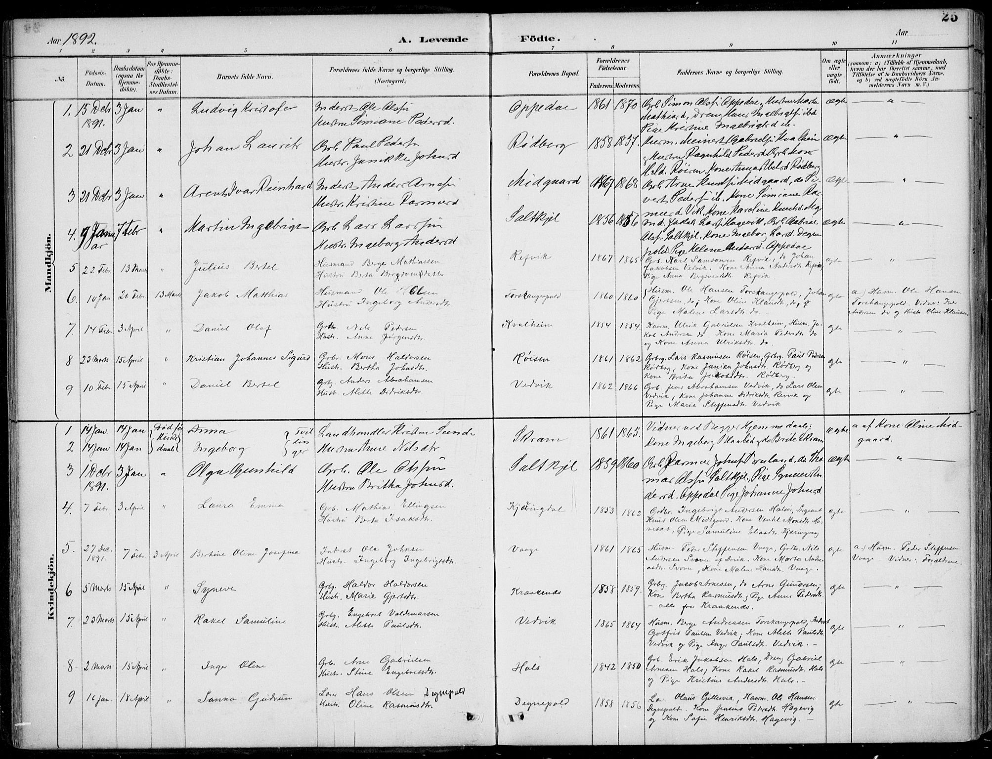 Selje sokneprestembete, SAB/A-99938/H/Ha/Haa/Haac/L0002: Parish register (official) no. C  2, 1889-1904, p. 25