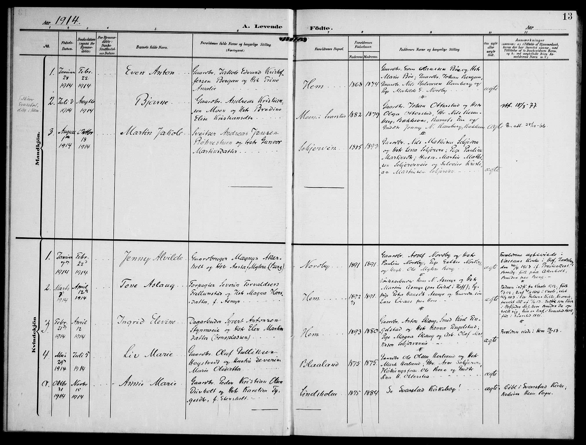 Lardal kirkebøker, AV/SAKO-A-350/F/Fc/L0002: Parish register (official) no. III 2, 1907-1921, p. 13