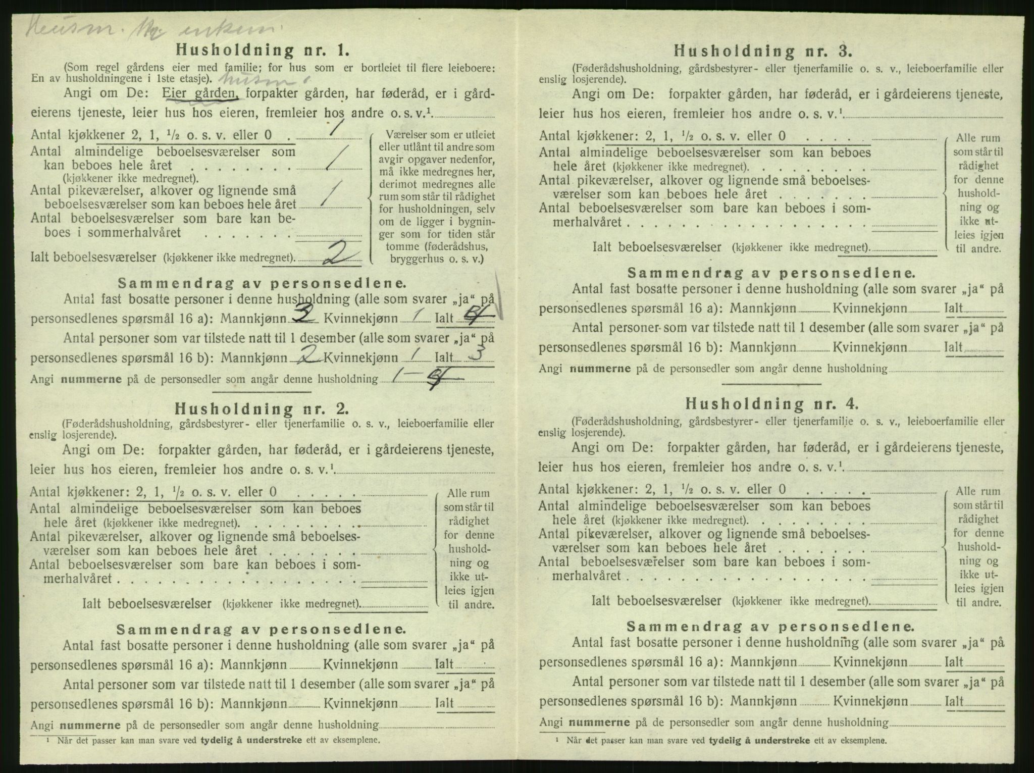 SAT, 1920 census for Vik, 1920, p. 856