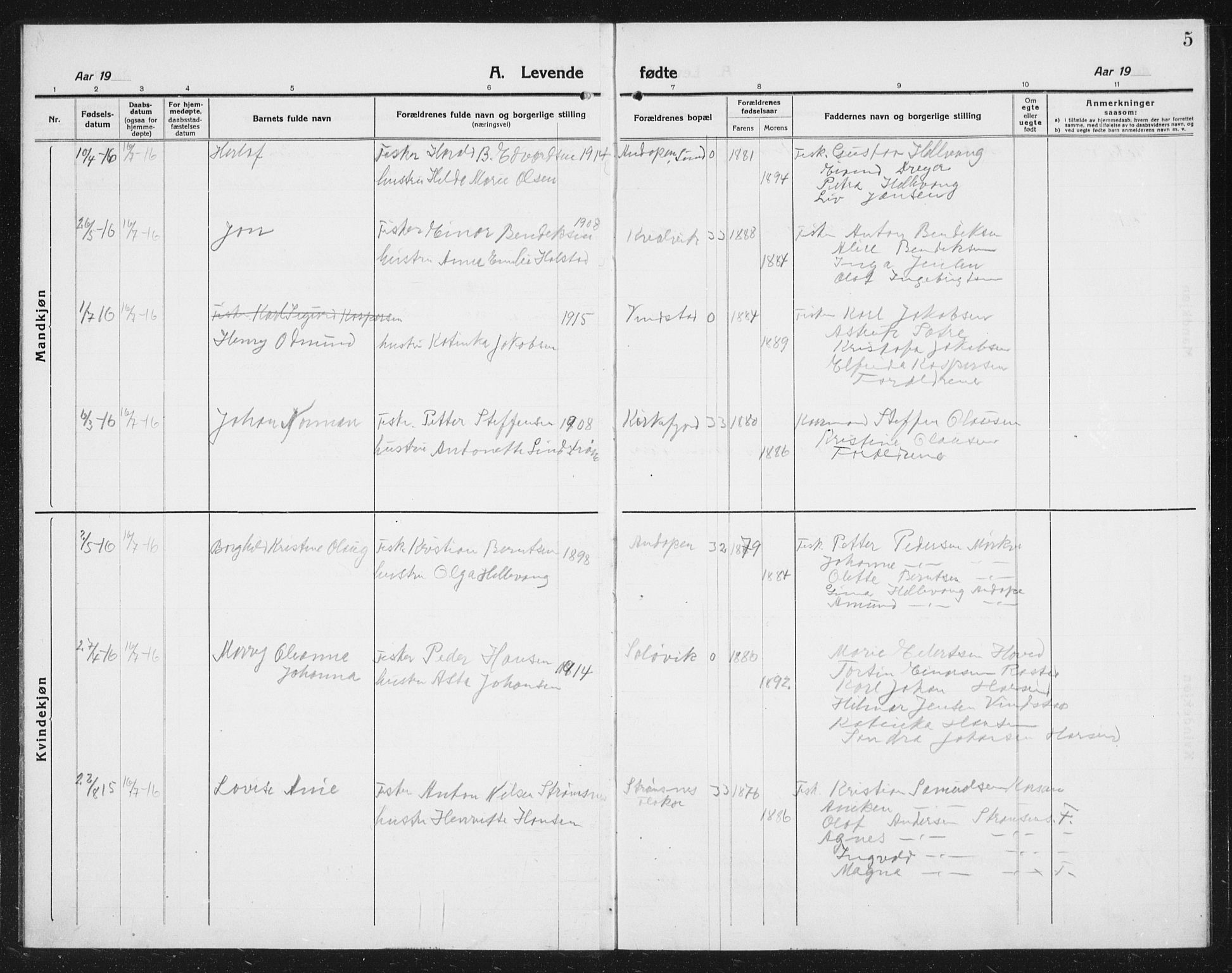 Ministerialprotokoller, klokkerbøker og fødselsregistre - Nordland, SAT/A-1459/887/L1229: Parish register (copy) no. 887C01, 1916-1935, p. 5
