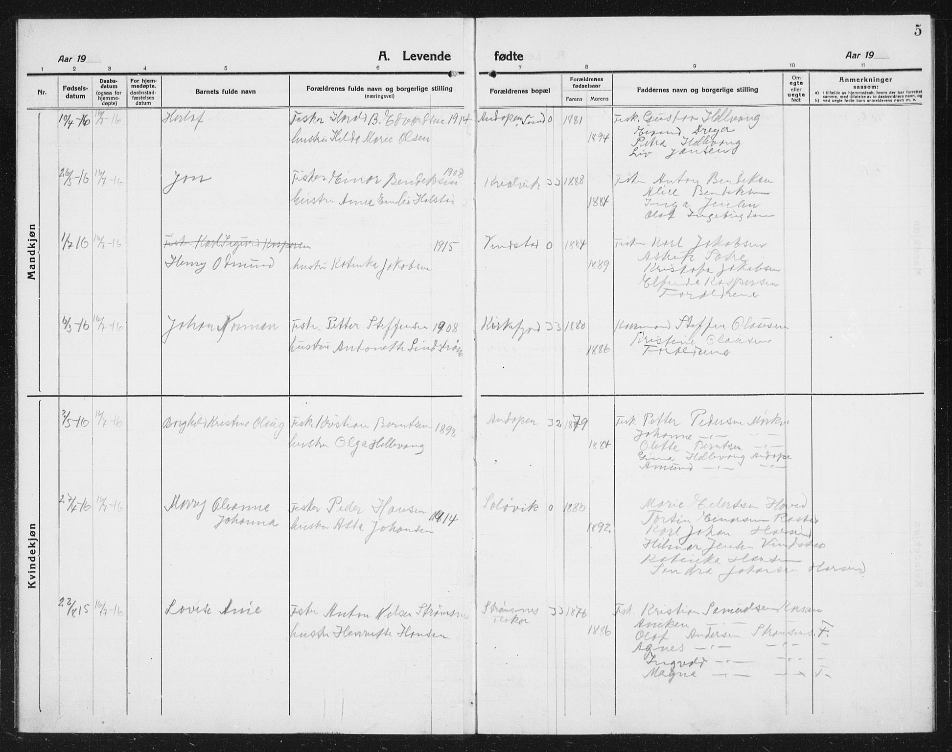 Ministerialprotokoller, klokkerbøker og fødselsregistre - Nordland, AV/SAT-A-1459/887/L1229: Parish register (copy) no. 887C01, 1916-1935, p. 5