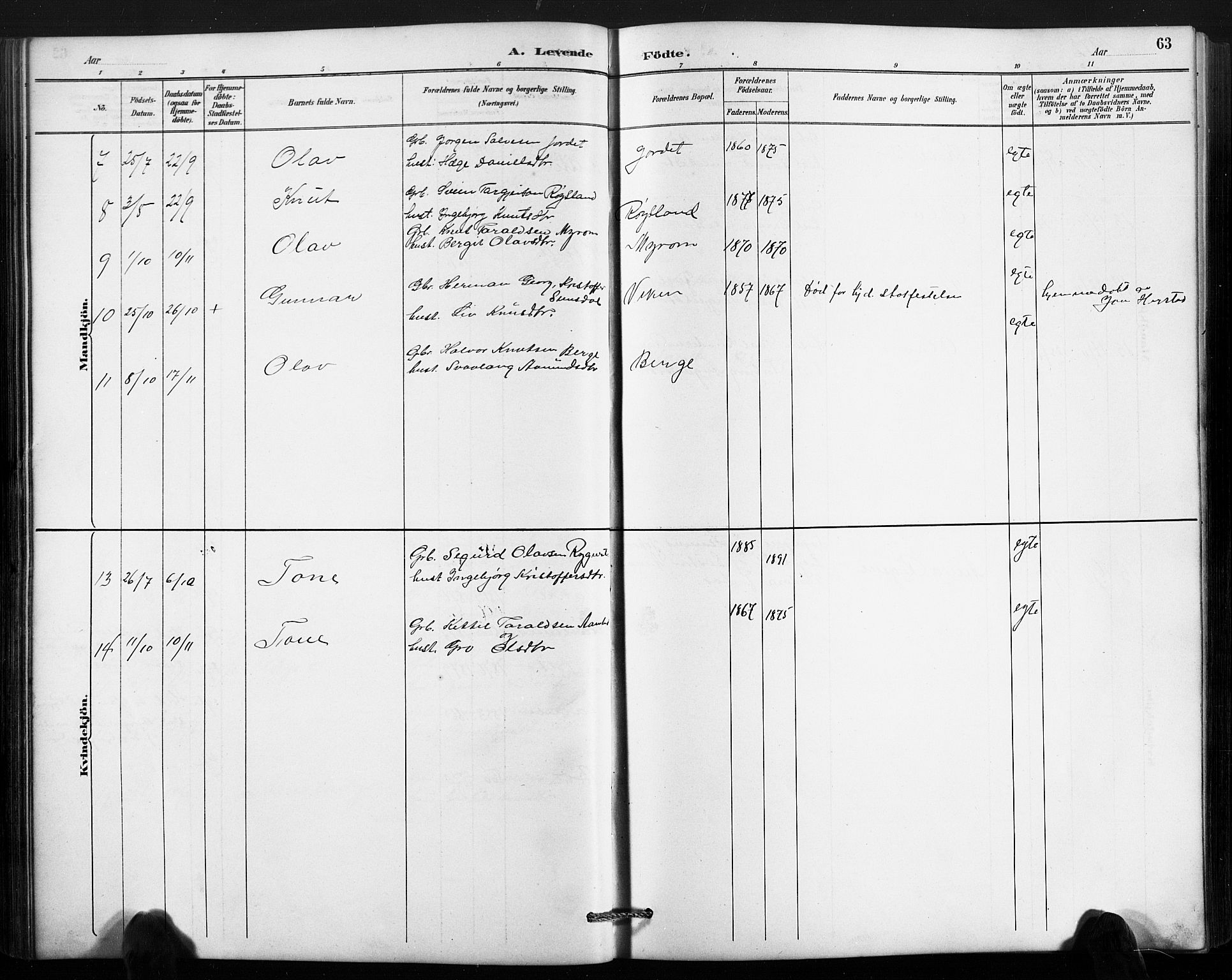 Valle sokneprestkontor, AV/SAK-1111-0044/F/Fb/Fbc/L0004: Parish register (copy) no. B 4, 1890-1928, p. 63