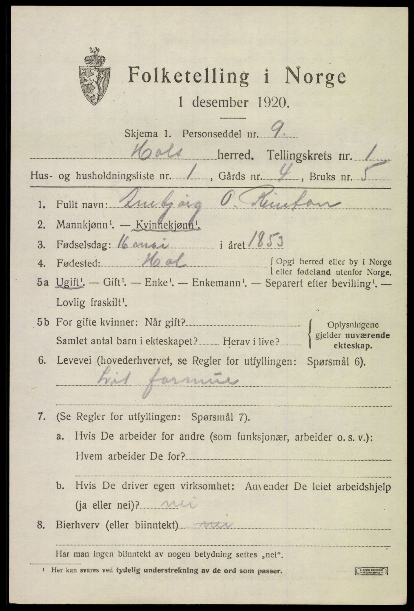 SAKO, 1920 census for Hol (Buskerud), 1920, p. 863