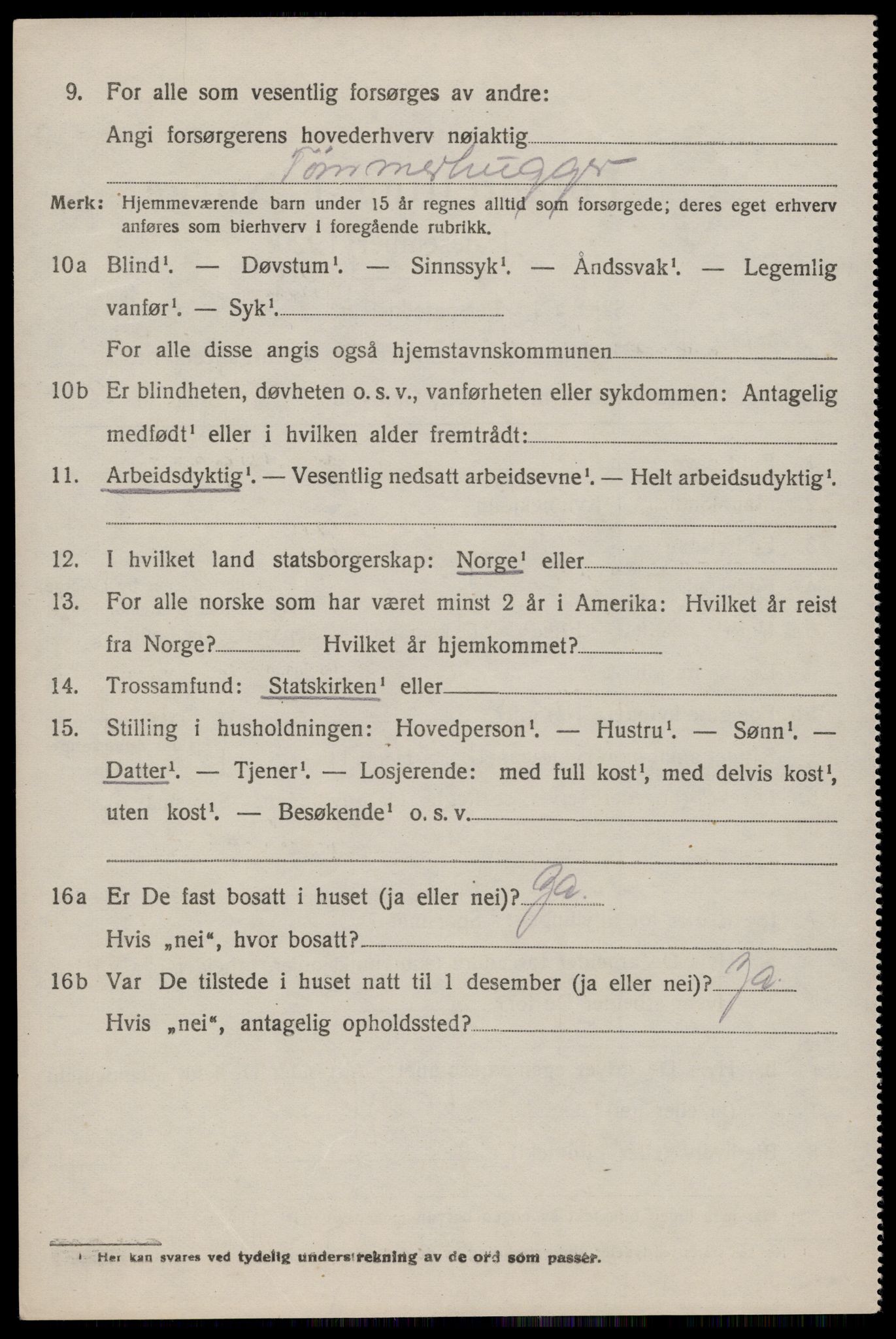 SAKO, 1920 census for Nissedal, 1920, p. 3884