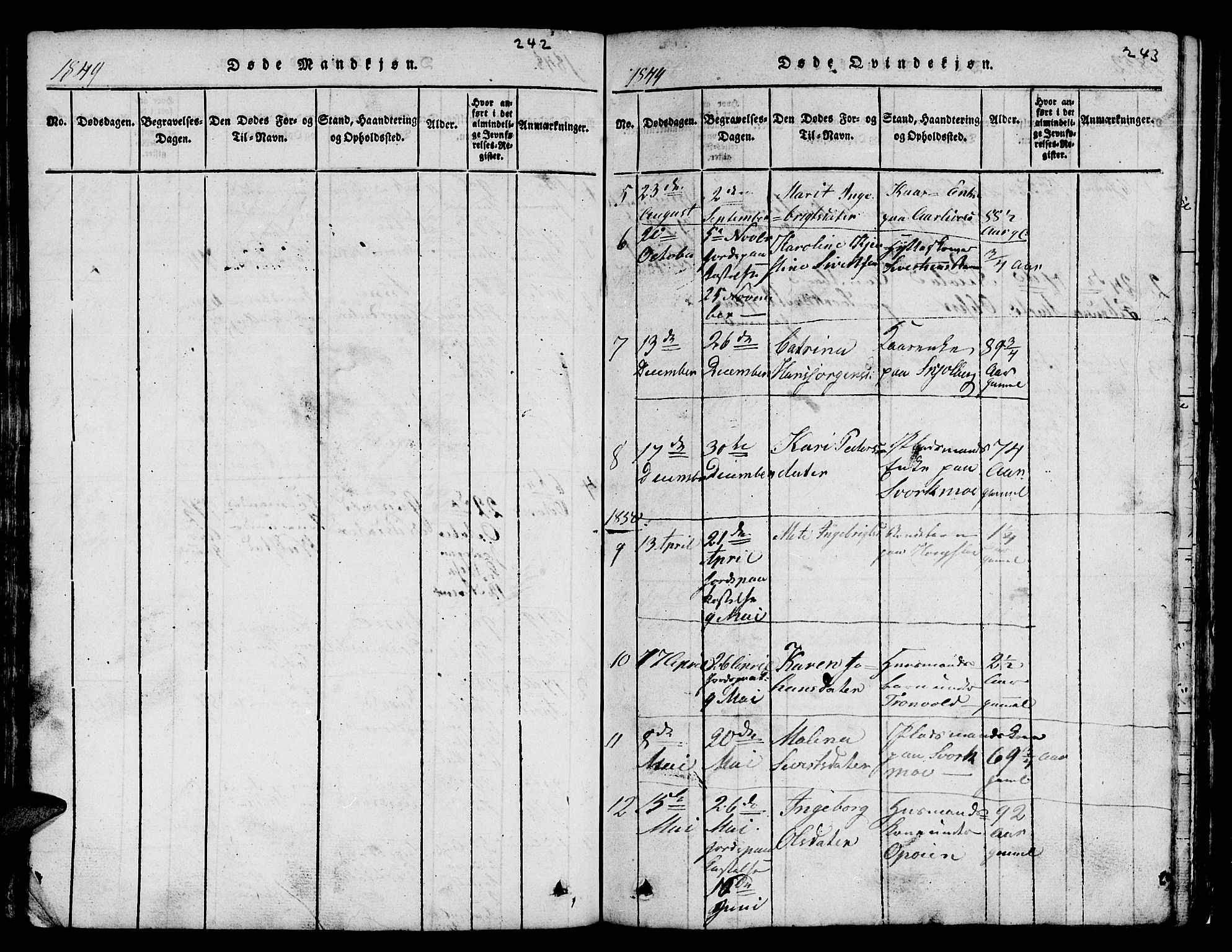 Ministerialprotokoller, klokkerbøker og fødselsregistre - Sør-Trøndelag, SAT/A-1456/671/L0842: Parish register (copy) no. 671C01, 1816-1867, p. 242-243