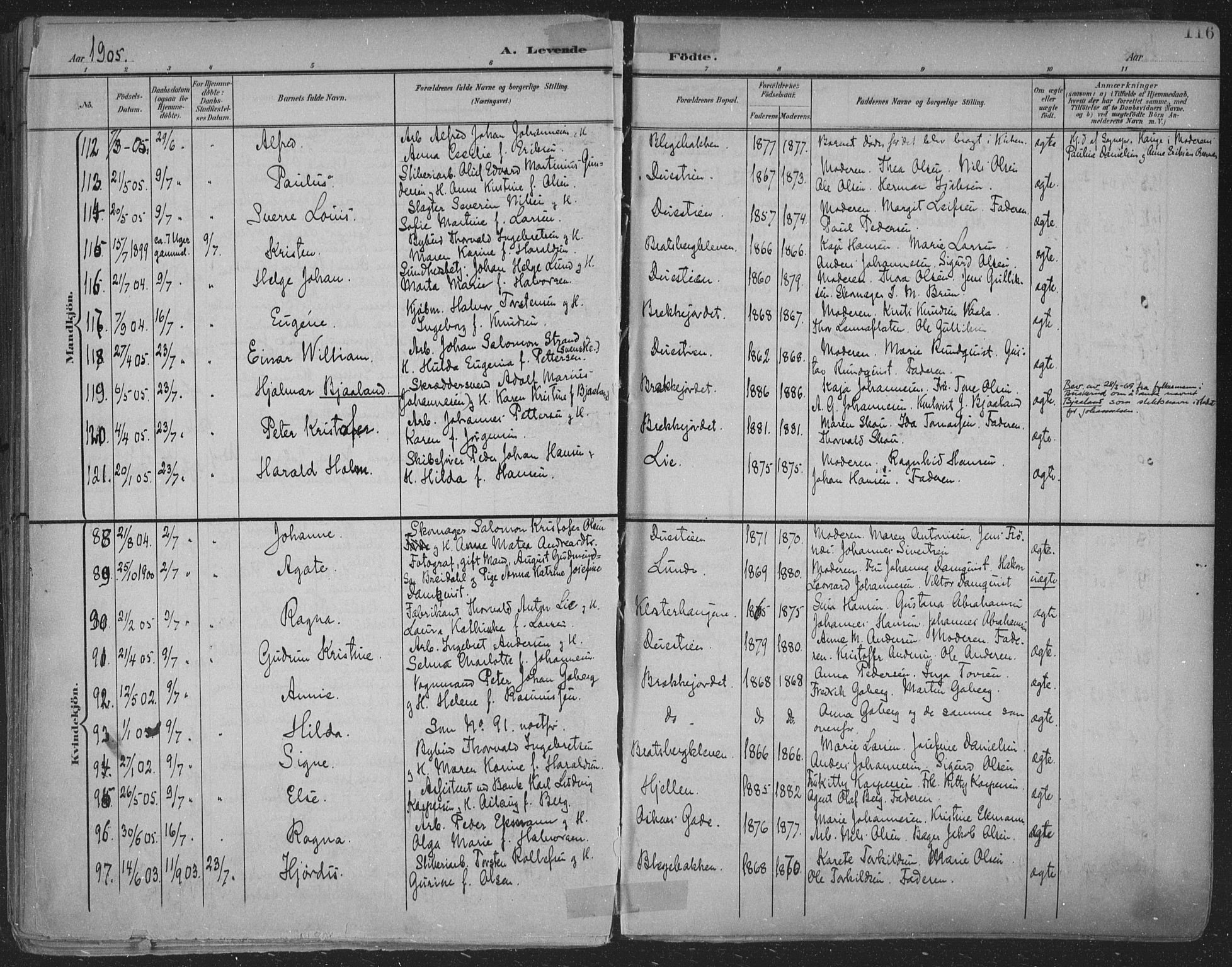 Skien kirkebøker, SAKO/A-302/F/Fa/L0011: Parish register (official) no. 11, 1900-1907, p. 116