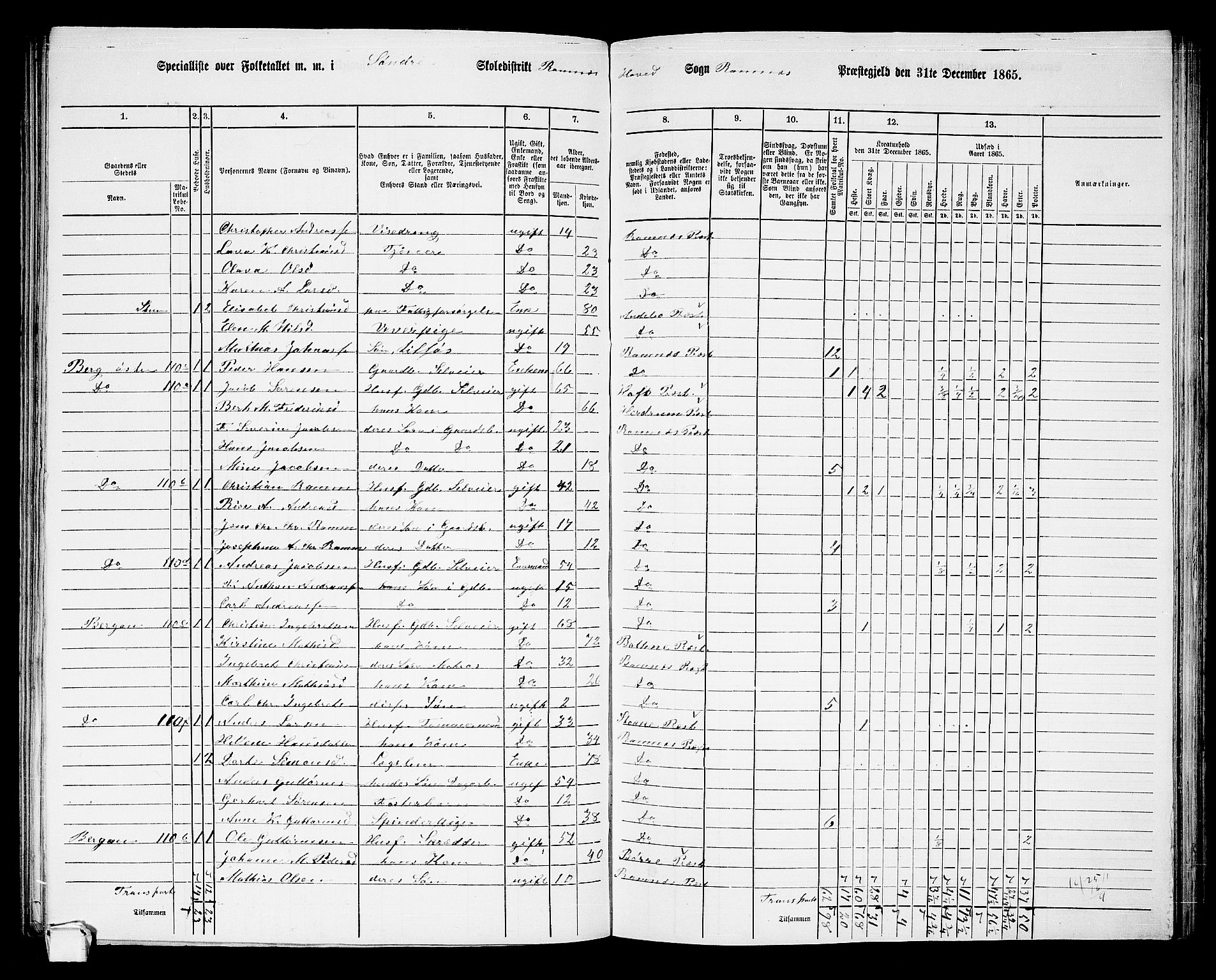 RA, 1865 census for Ramnes, 1865, p. 17