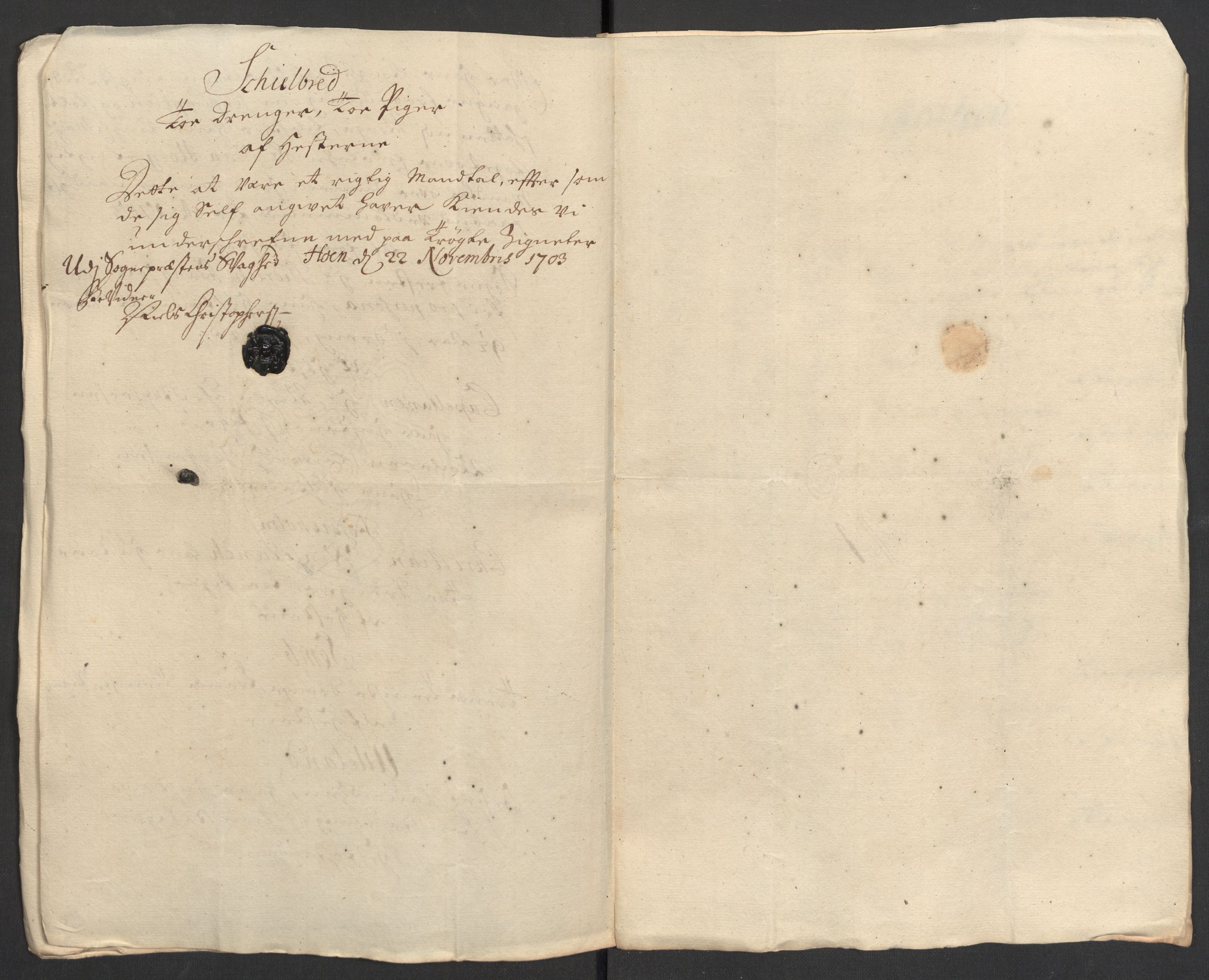 Rentekammeret inntil 1814, Reviderte regnskaper, Fogderegnskap, AV/RA-EA-4092/R30/L1699: Fogderegnskap Hurum, Røyken, Eiker og Lier, 1703, p. 166