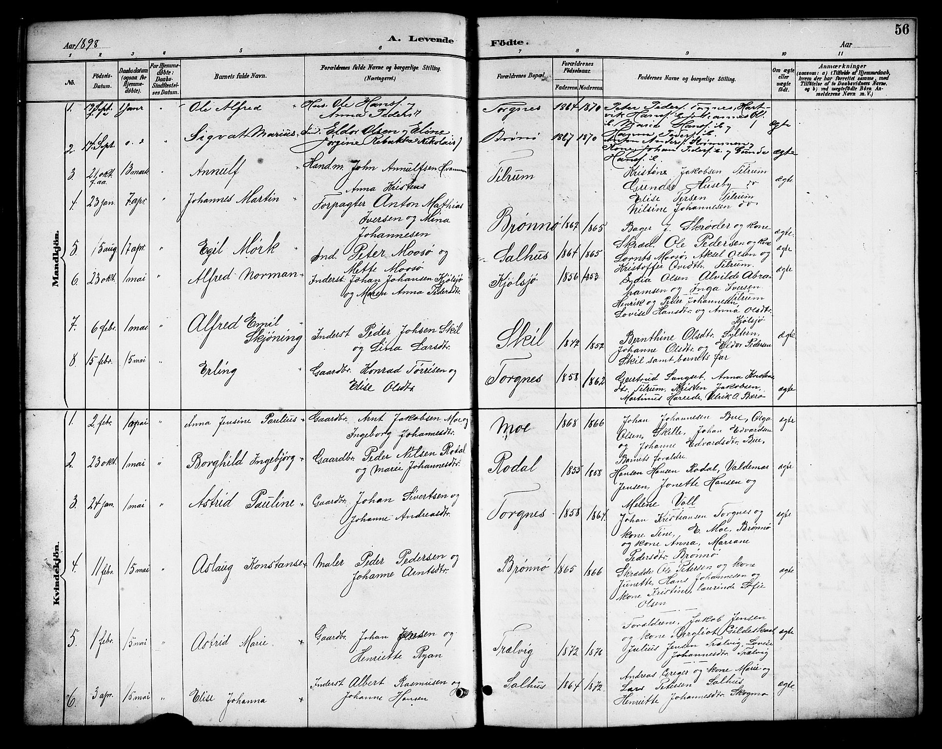 Ministerialprotokoller, klokkerbøker og fødselsregistre - Nordland, SAT/A-1459/813/L0213: Parish register (copy) no. 813C05, 1887-1903, p. 56