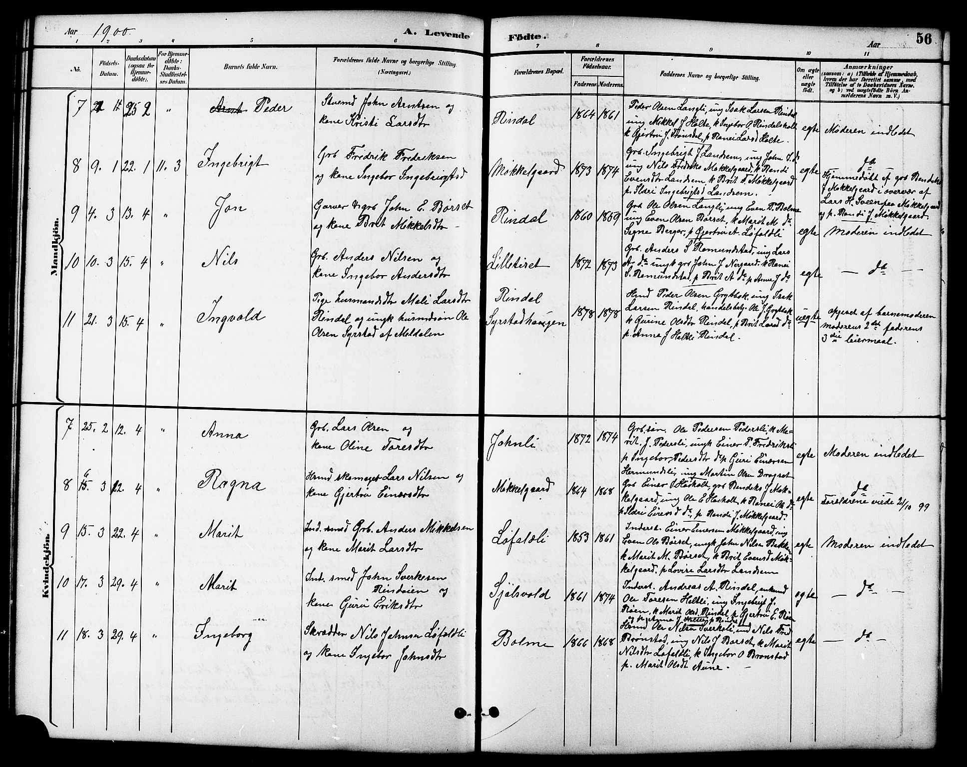 Ministerialprotokoller, klokkerbøker og fødselsregistre - Møre og Romsdal, SAT/A-1454/598/L1078: Parish register (copy) no. 598C03, 1892-1909, p. 56