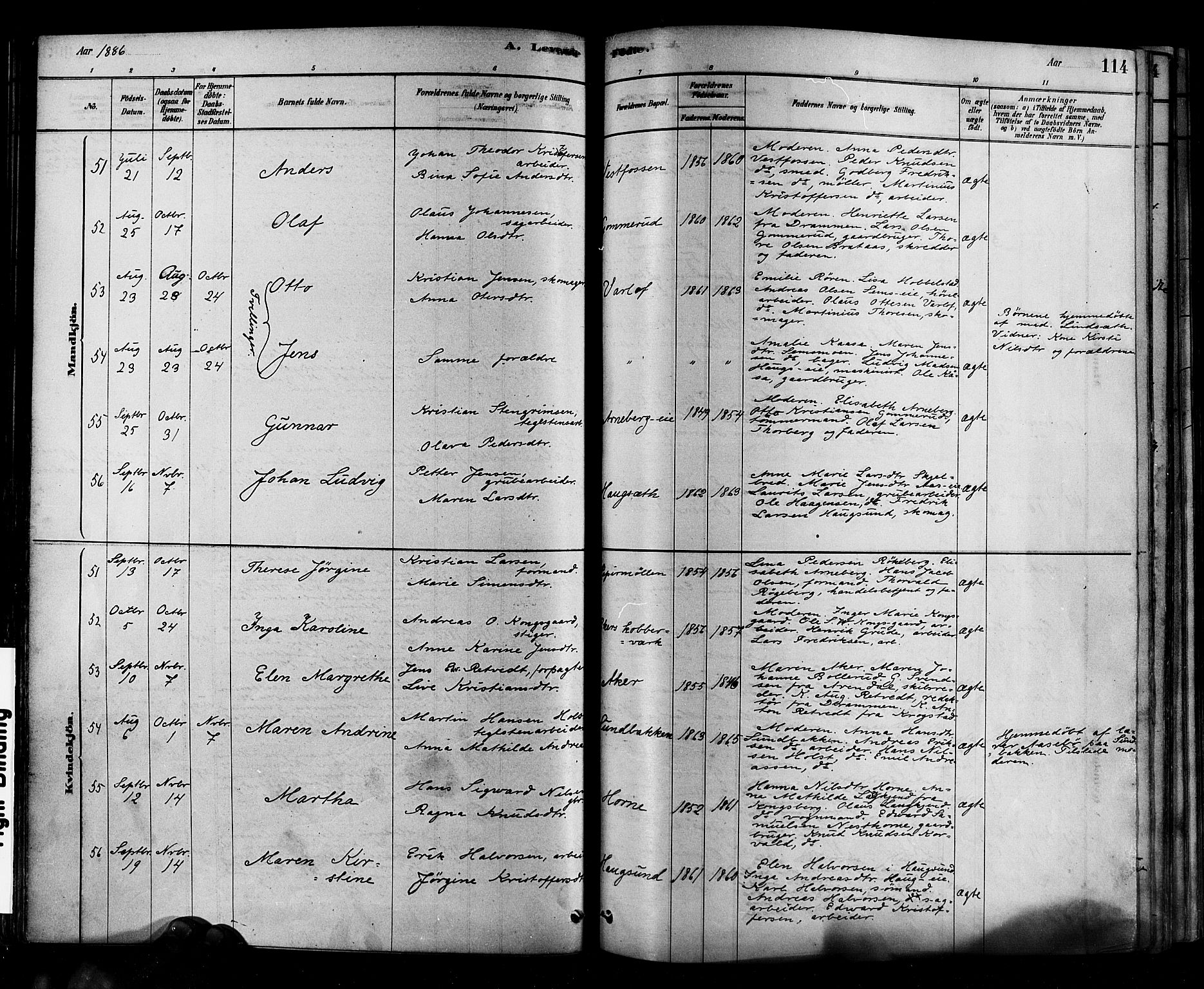 Eiker kirkebøker, AV/SAKO-A-4/F/Fb/L0001: Parish register (official) no. II 1, 1878-1888, p. 114