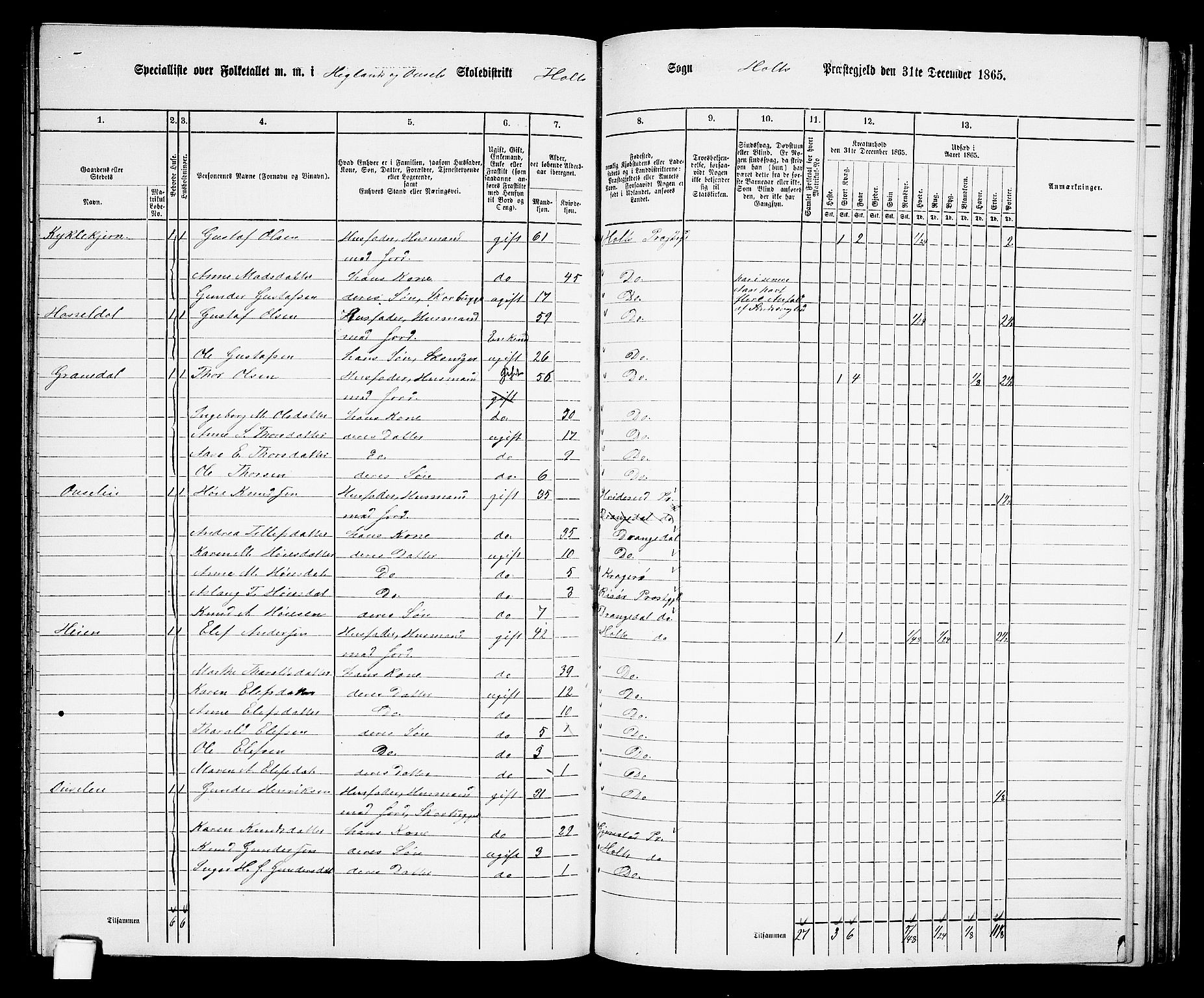 RA, 1865 census for Holt/Holt, 1865, p. 142