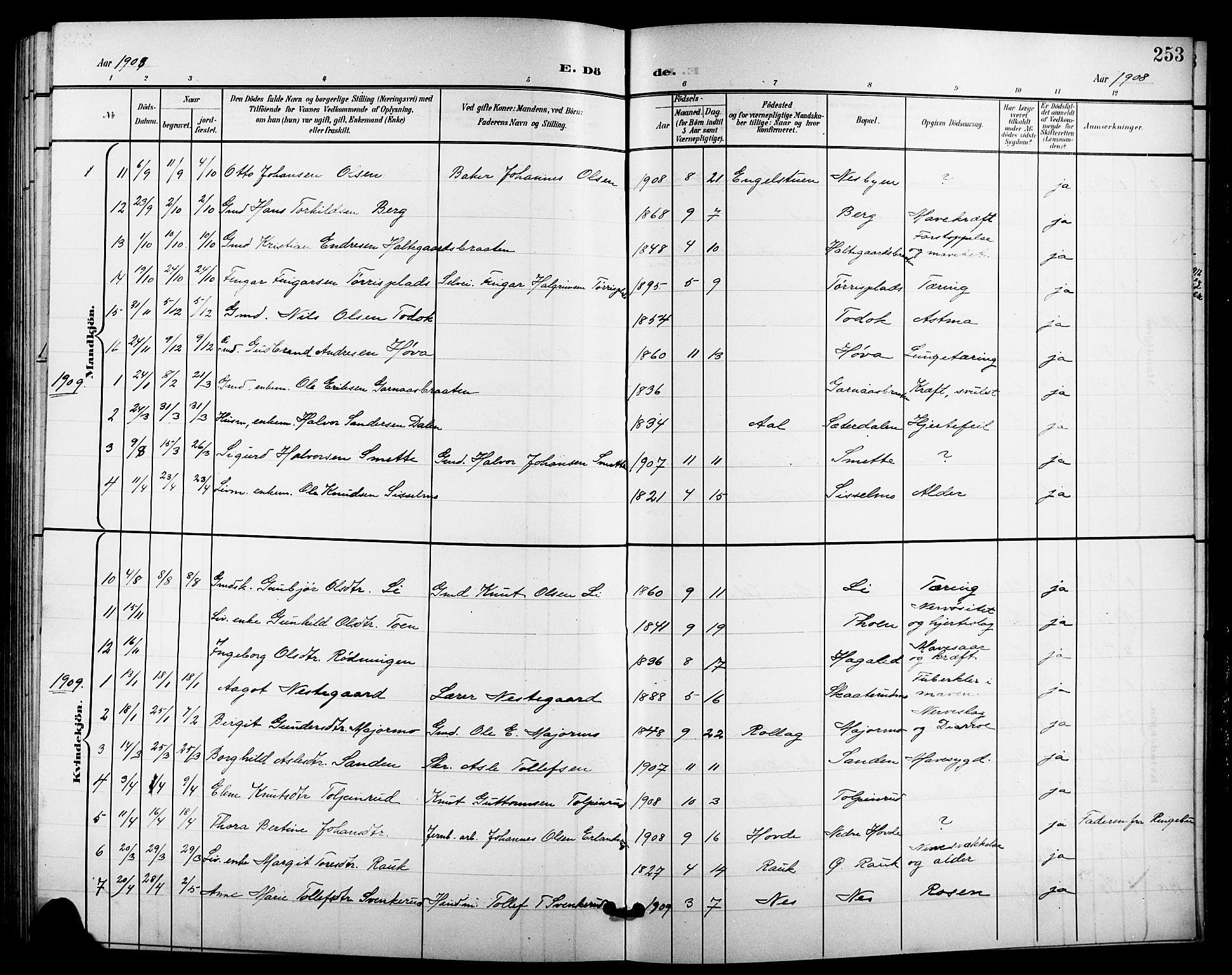 Nes kirkebøker, AV/SAKO-A-236/G/Ga/L0004: Parish register (copy) no. I 4, 1900-1925, p. 253