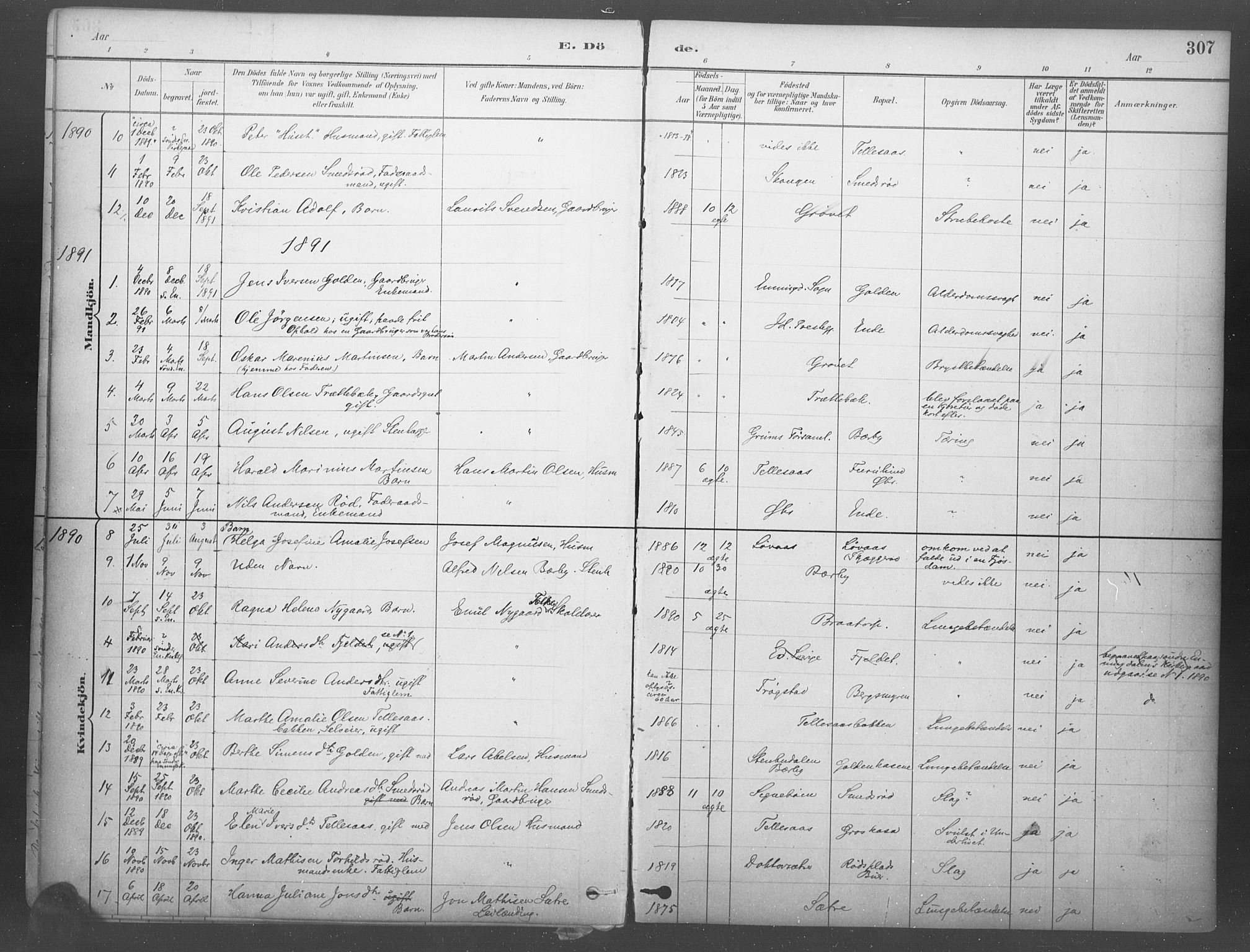 Idd prestekontor Kirkebøker, SAO/A-10911/F/Fb/L0002: Parish register (official) no. II 2, 1882-1923, p. 307