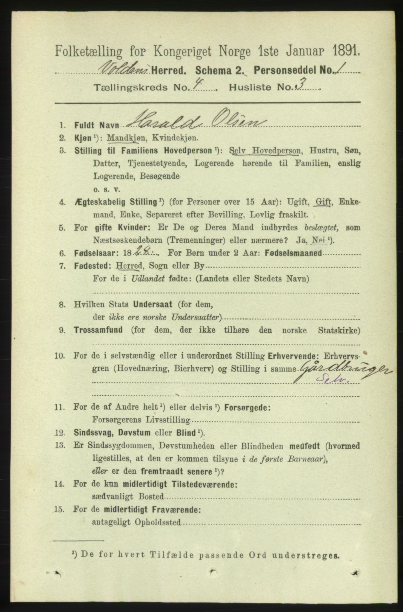 RA, 1891 census for 1519 Volda, 1891, p. 1975