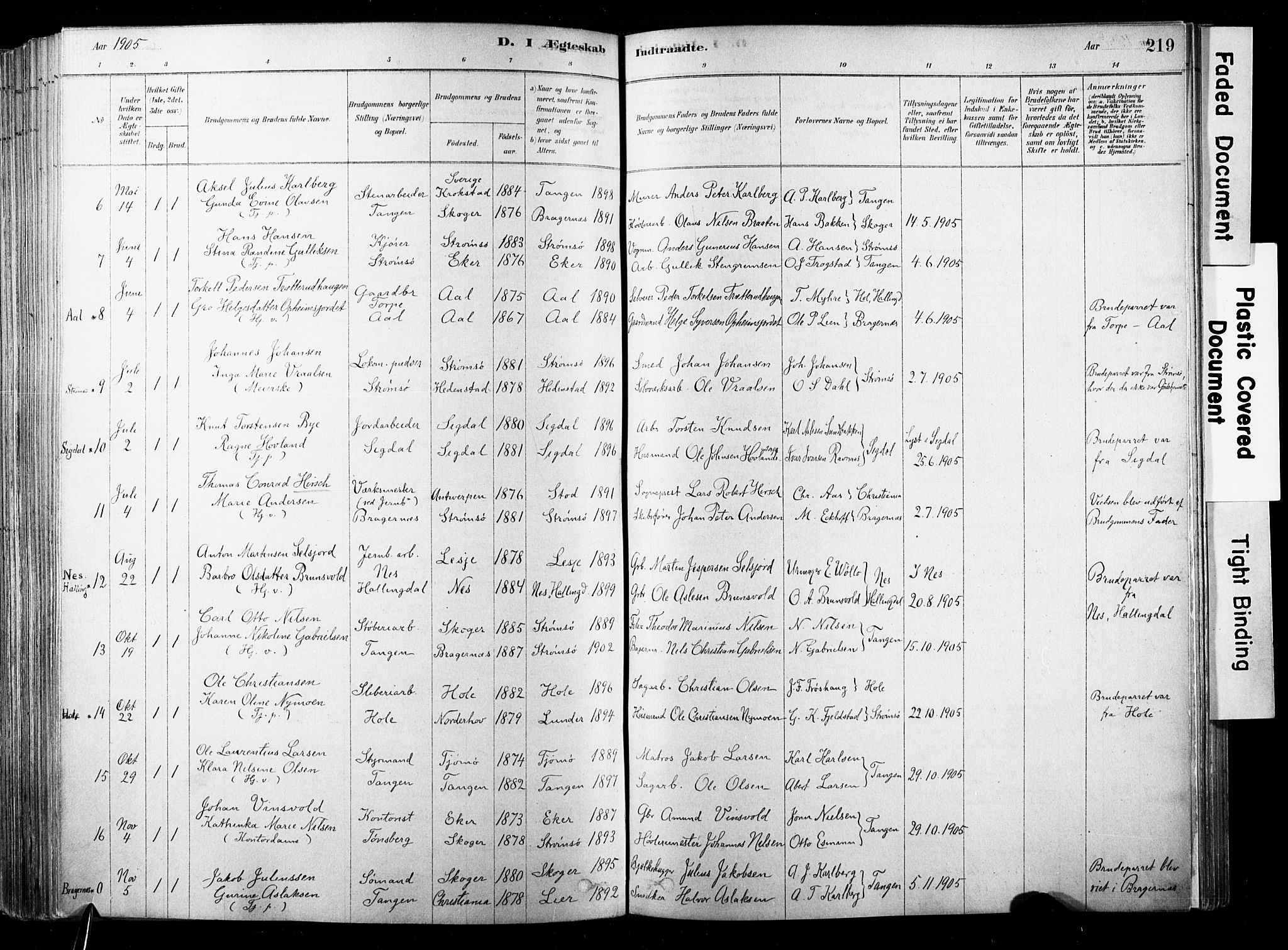 Strømsø kirkebøker, SAKO/A-246/F/Fb/L0006: Parish register (official) no. II 6, 1879-1910, p. 219