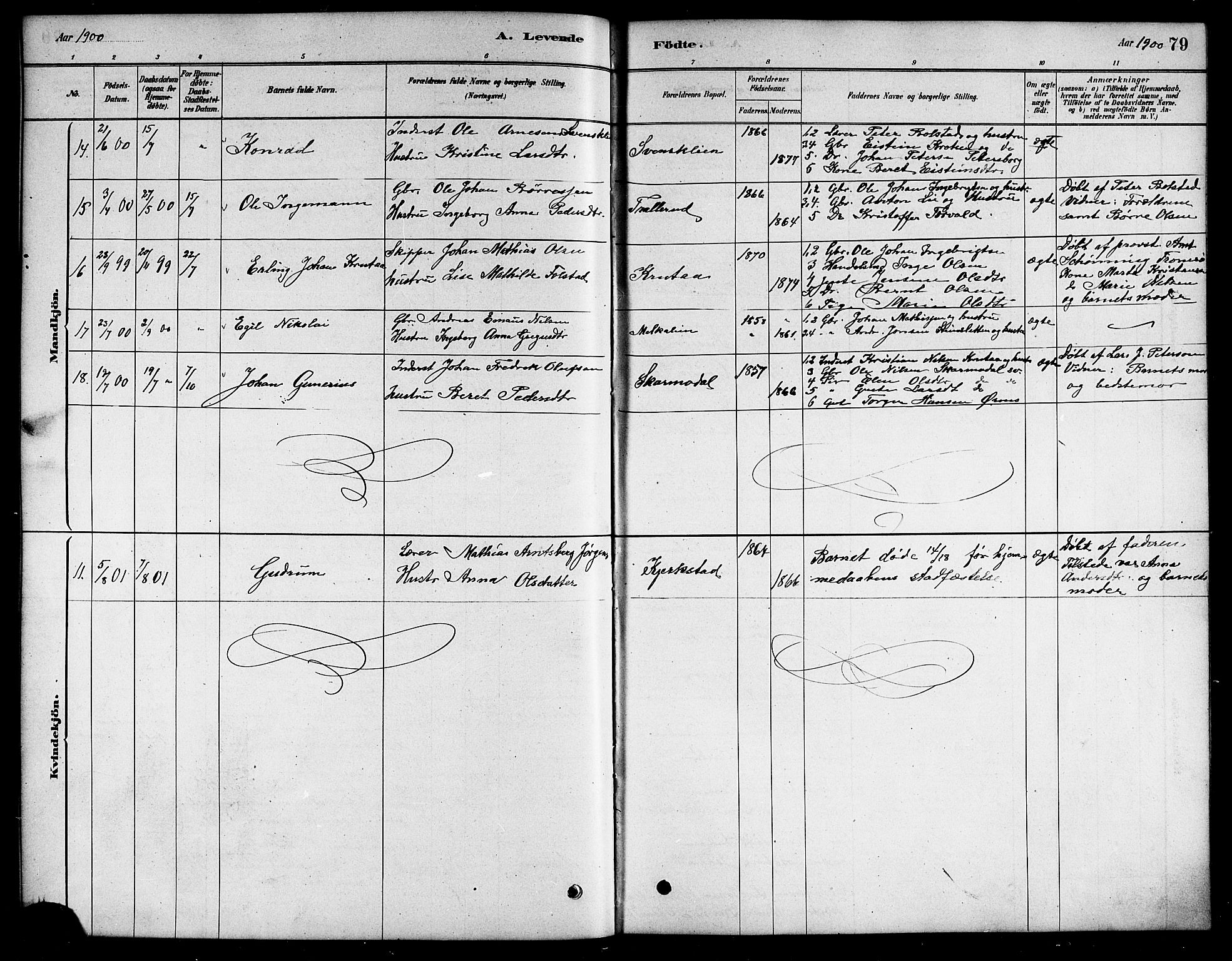 Ministerialprotokoller, klokkerbøker og fødselsregistre - Nordland, SAT/A-1459/823/L0330: Parish register (copy) no. 823C02, 1879-1916, p. 79