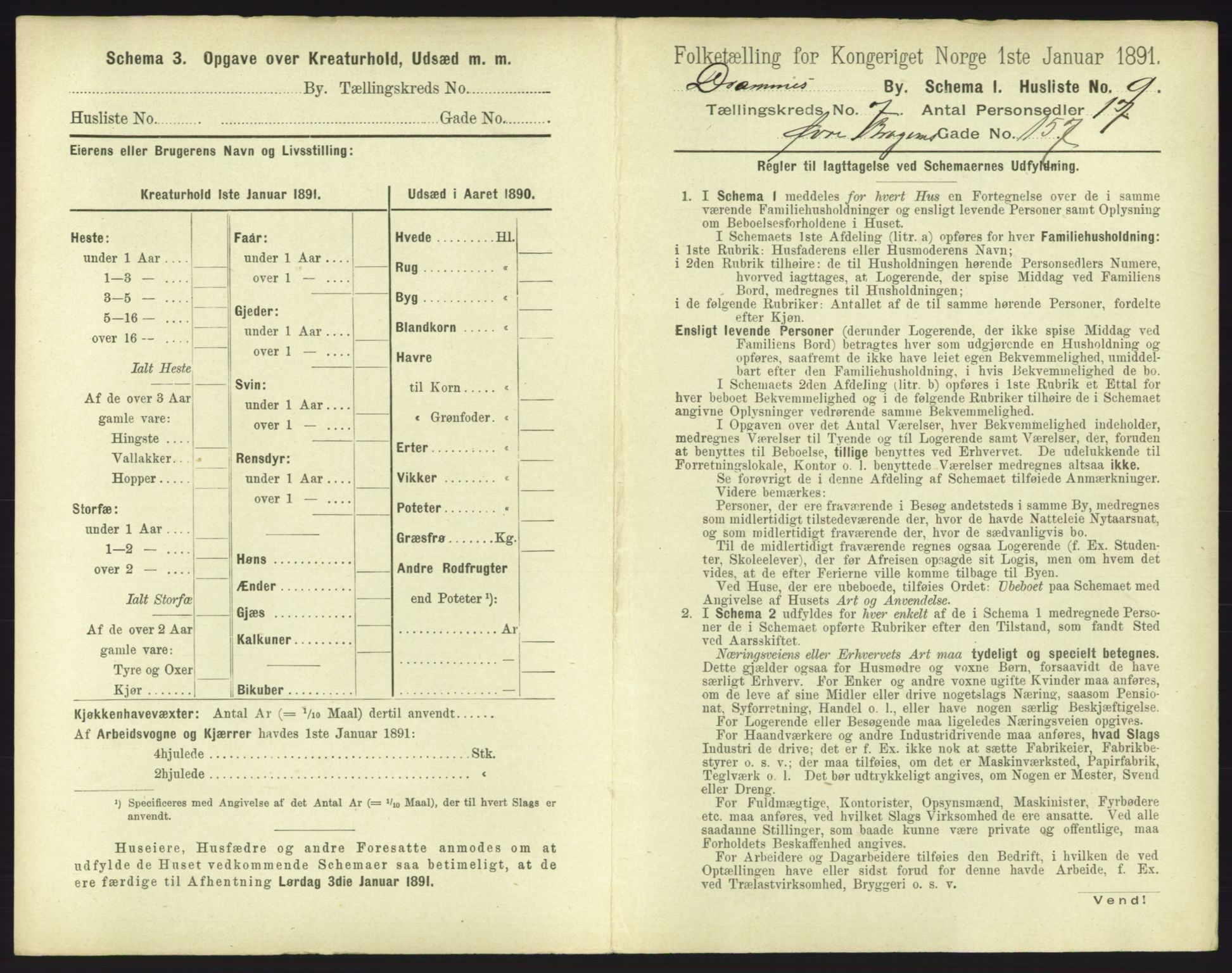 RA, 1891 census for 0602 Drammen, 1891, p. 595