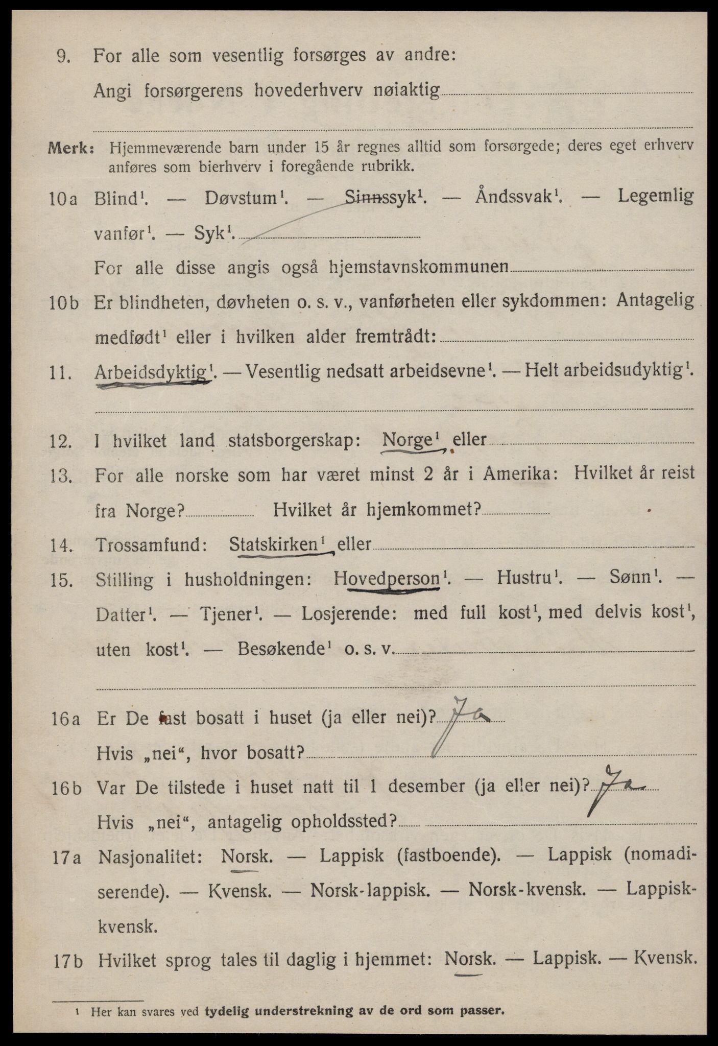 SAT, 1920 census for Strinda, 1920, p. 6733