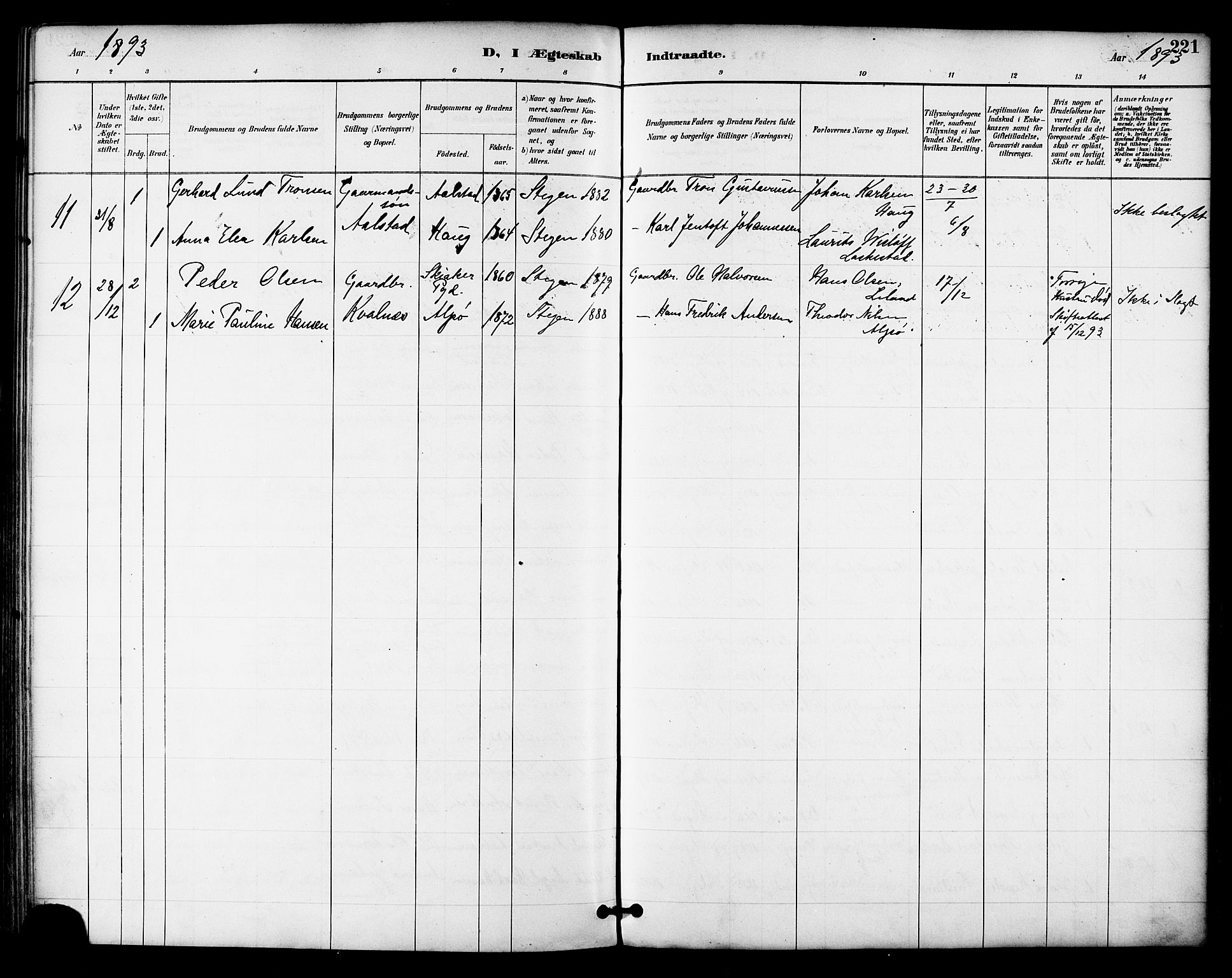 Ministerialprotokoller, klokkerbøker og fødselsregistre - Nordland, AV/SAT-A-1459/855/L0803: Parish register (official) no. 855A11, 1887-1905, p. 221