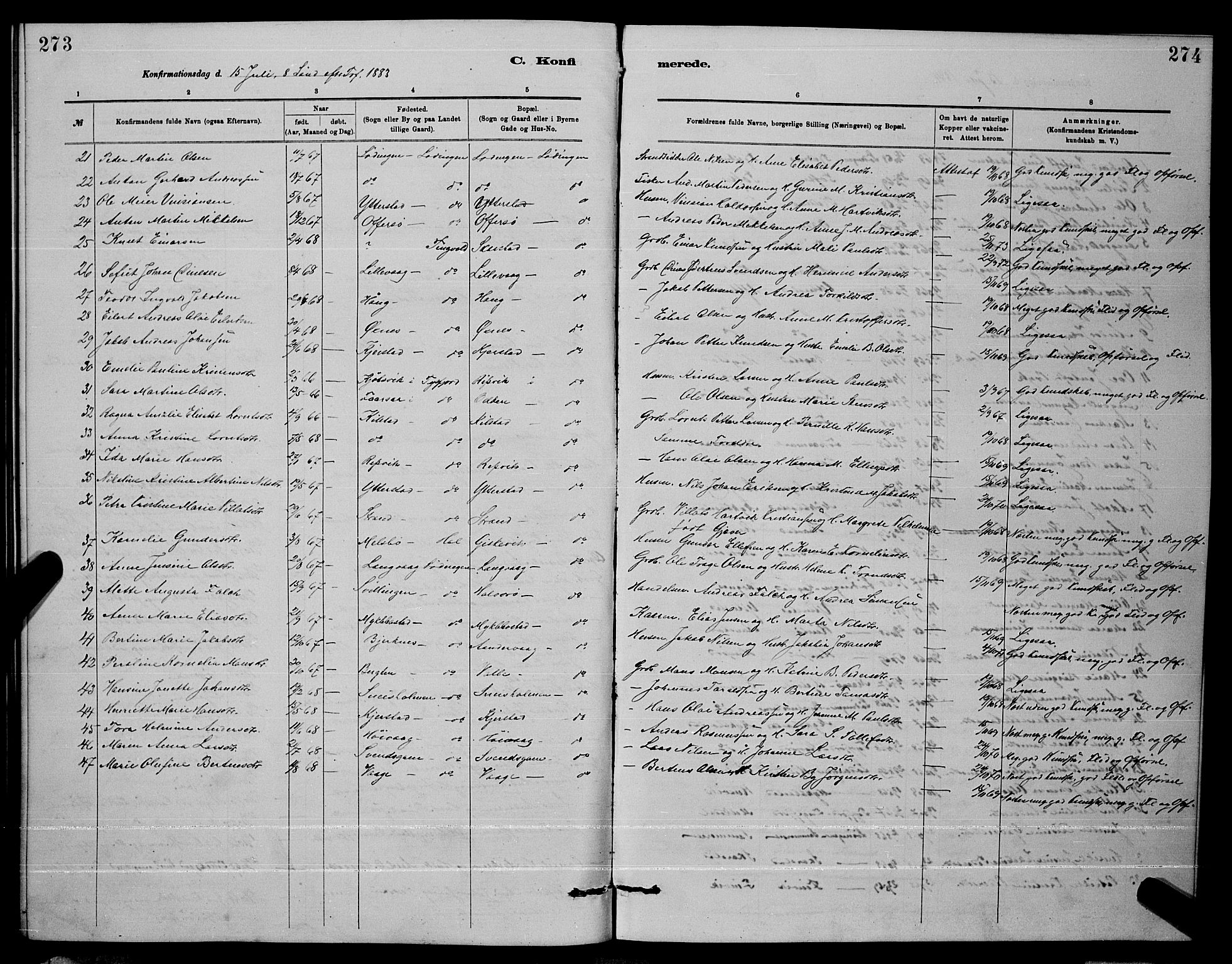 Ministerialprotokoller, klokkerbøker og fødselsregistre - Nordland, AV/SAT-A-1459/872/L1047: Parish register (copy) no. 872C03, 1880-1897, p. 273-274