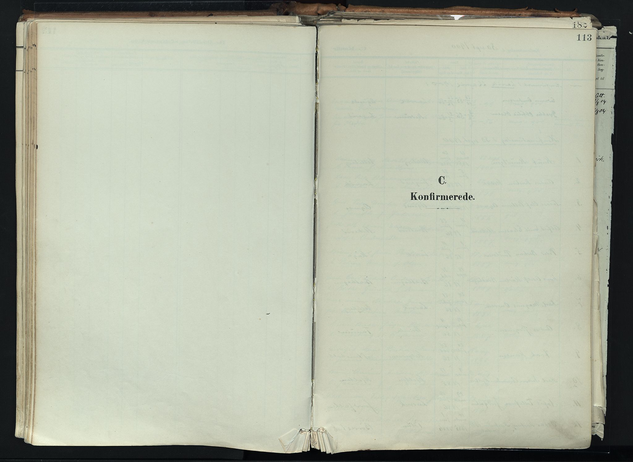 Brunlanes kirkebøker, SAKO/A-342/F/Fc/L0003: Parish register (official) no. III 3, 1900-1922, p. 113