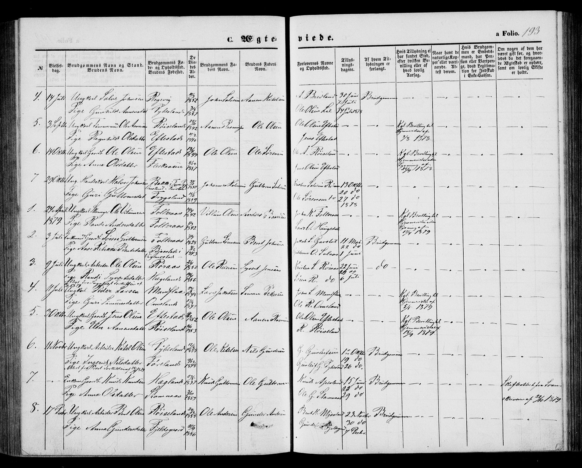 Bjelland sokneprestkontor, AV/SAK-1111-0005/F/Fb/Fbb/L0004: Parish register (copy) no. B 4, 1867-1887, p. 193