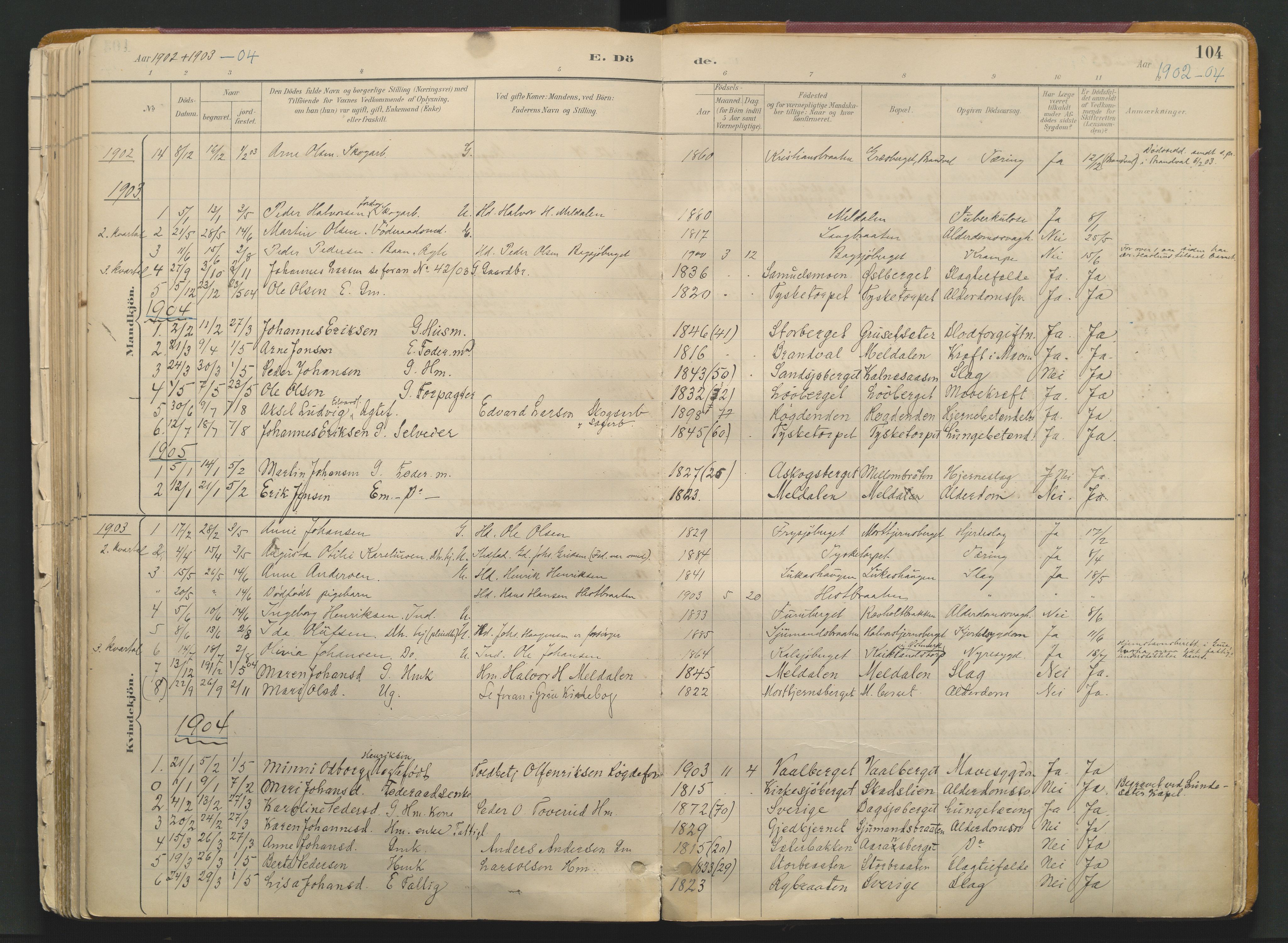 Grue prestekontor, SAH/PREST-036/H/Ha/Haa/L0017: Parish register (official) no. 17, 1892-1936, p. 104