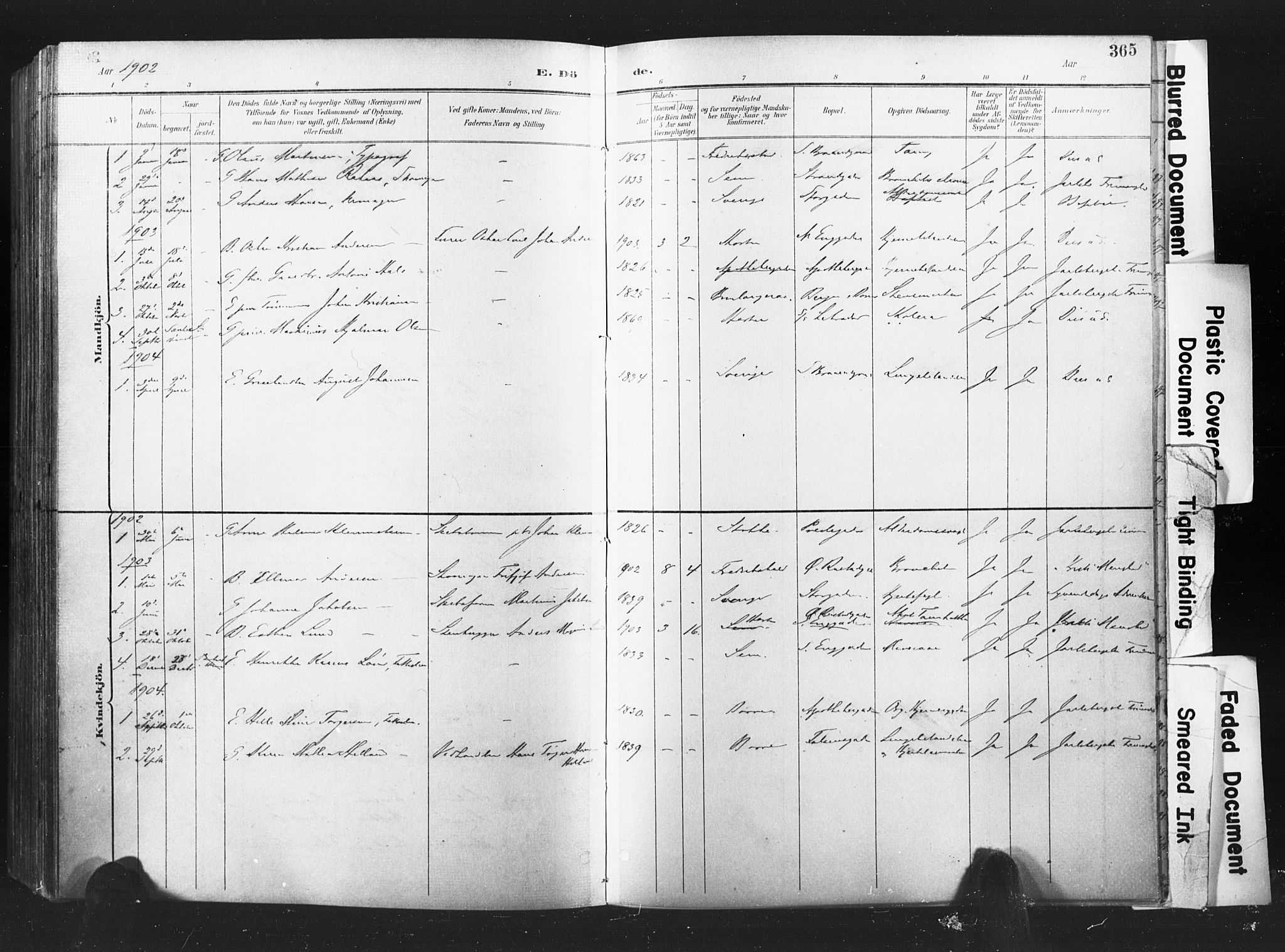 Horten kirkebøker, AV/SAKO-A-348/F/Fa/L0005: Parish register (official) no. 5, 1896-1904, p. 365