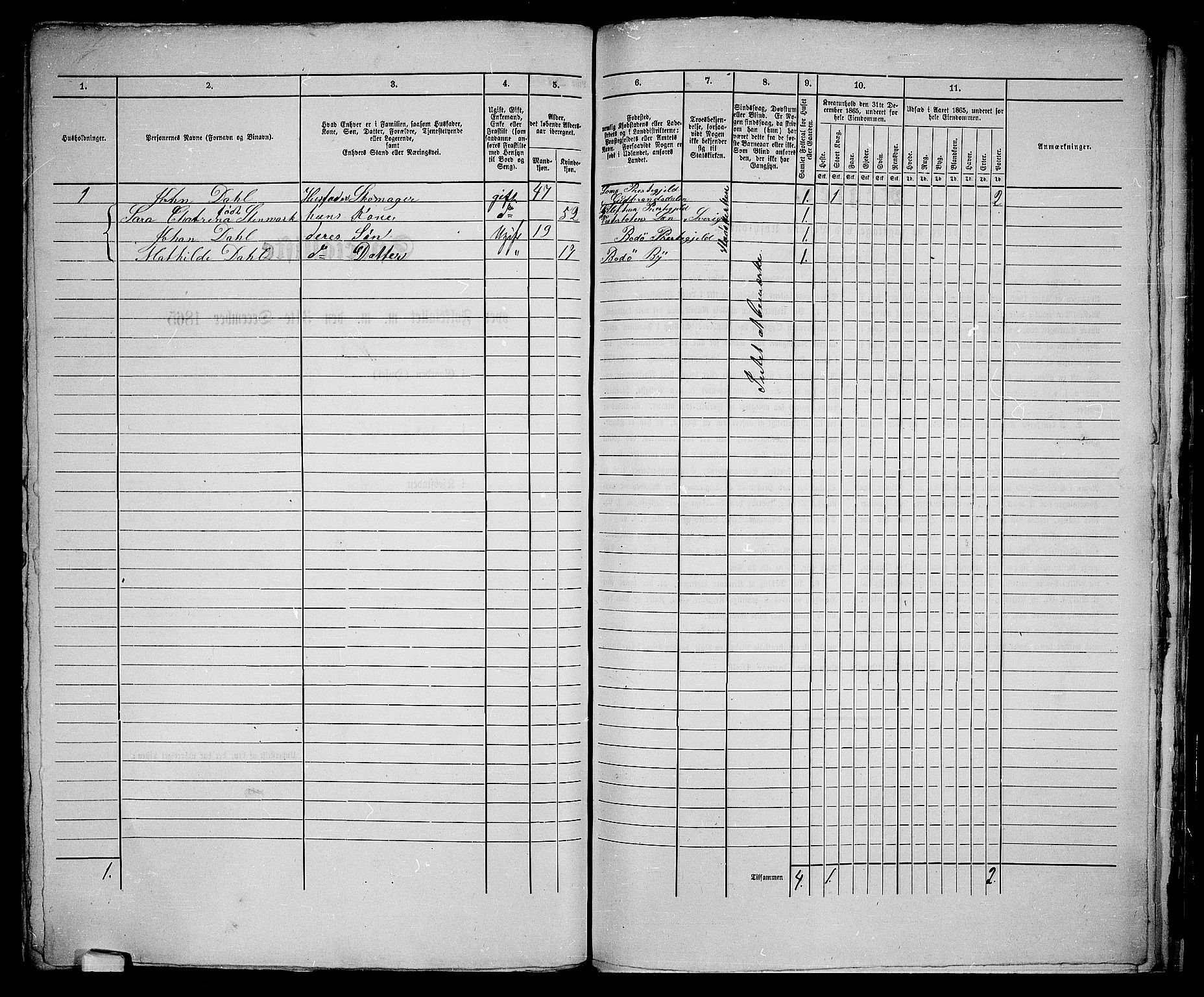 RA, 1865 census for Bodø/Bodø, 1865, p. 118