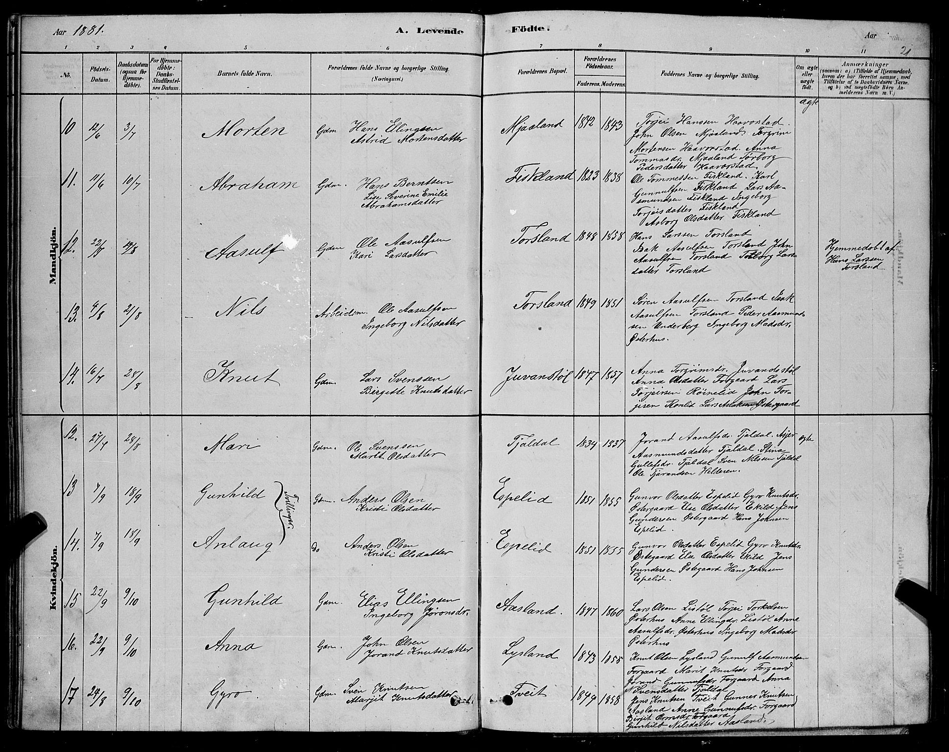 Åseral sokneprestkontor, AV/SAK-1111-0051/F/Fb/L0002: Parish register (copy) no. B 2, 1878-1899, p. 21