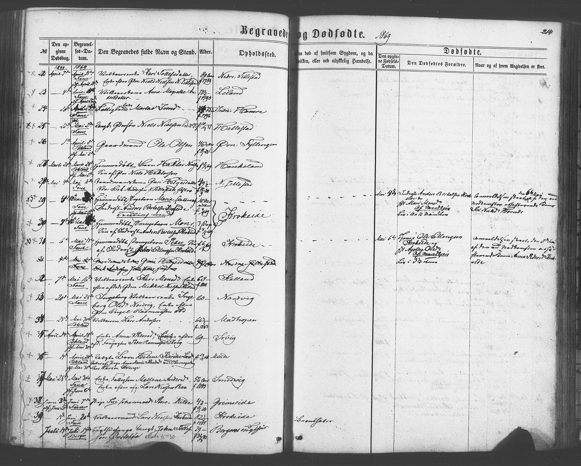Fana Sokneprestembete, SAB/A-75101/H/Haa/Haaa/L0012: Parish register (official) no. A 12, 1862-1878, p. 214