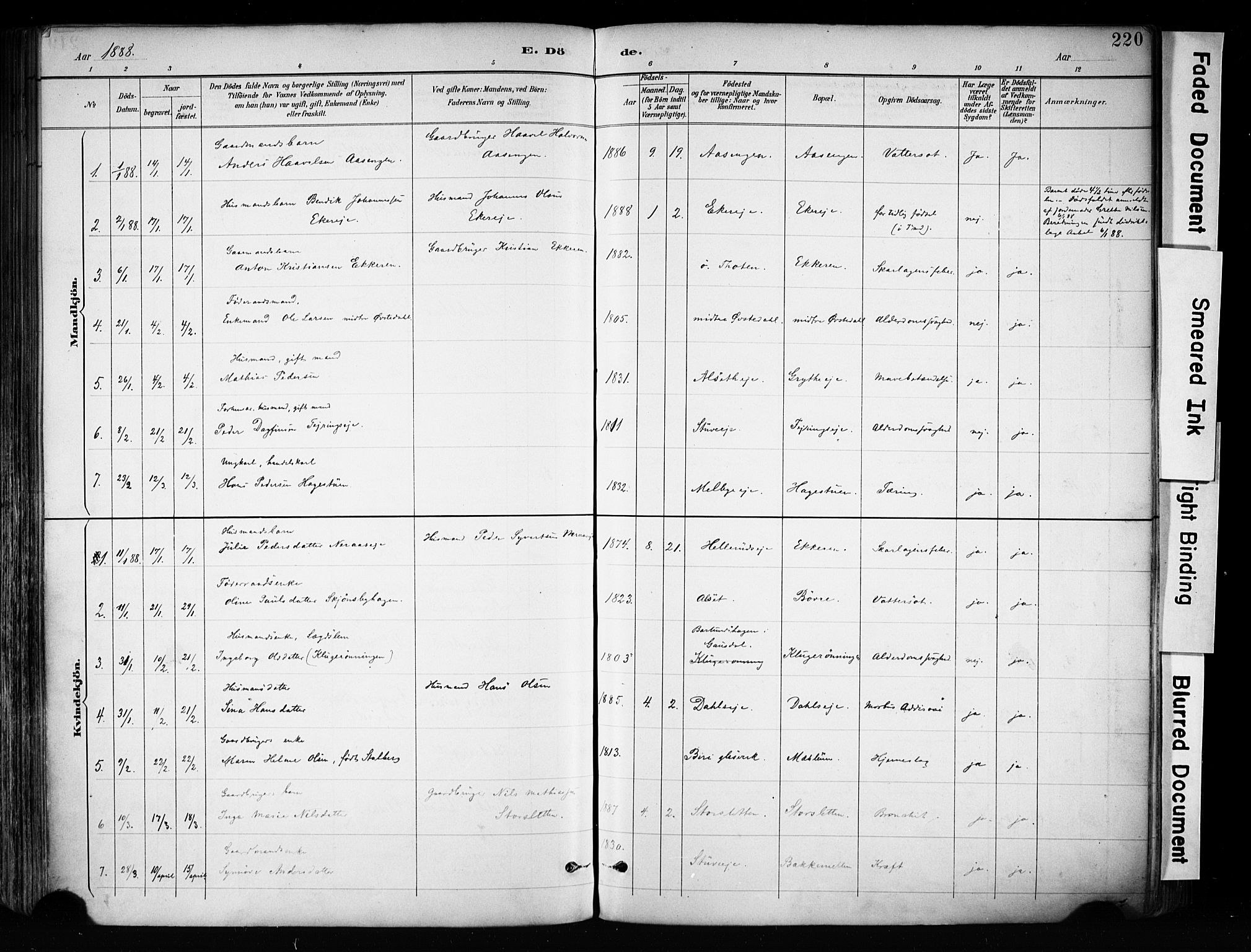 Biri prestekontor, SAH/PREST-096/H/Ha/Haa/L0009: Parish register (official) no. 9, 1887-1900, p. 220