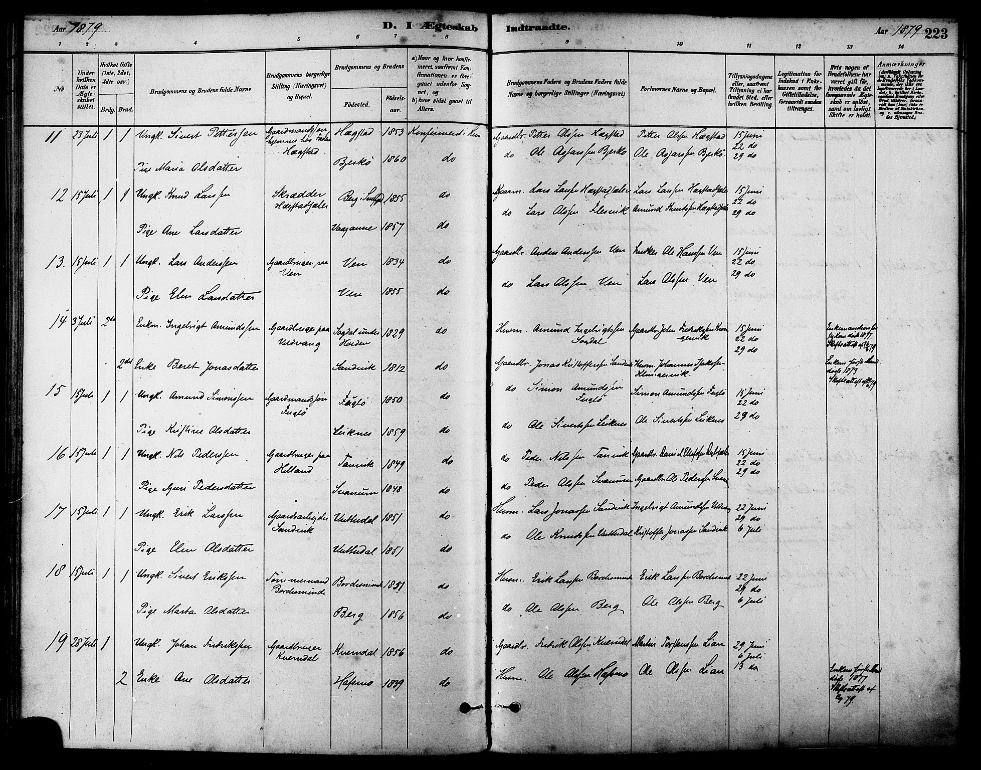 Ministerialprotokoller, klokkerbøker og fødselsregistre - Sør-Trøndelag, AV/SAT-A-1456/630/L0496: Parish register (official) no. 630A09, 1879-1895, p. 223