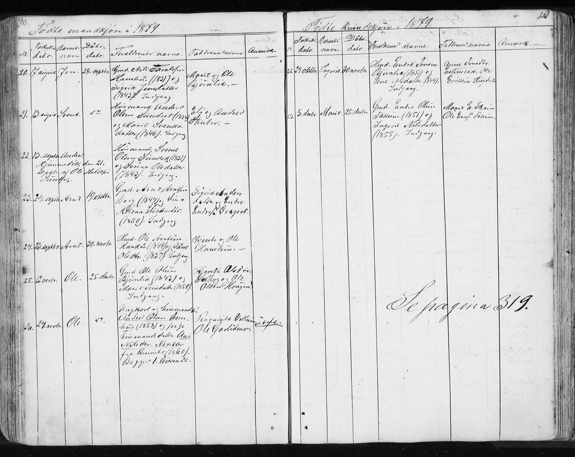 Ministerialprotokoller, klokkerbøker og fødselsregistre - Sør-Trøndelag, SAT/A-1456/689/L1043: Parish register (copy) no. 689C02, 1816-1892, p. 250