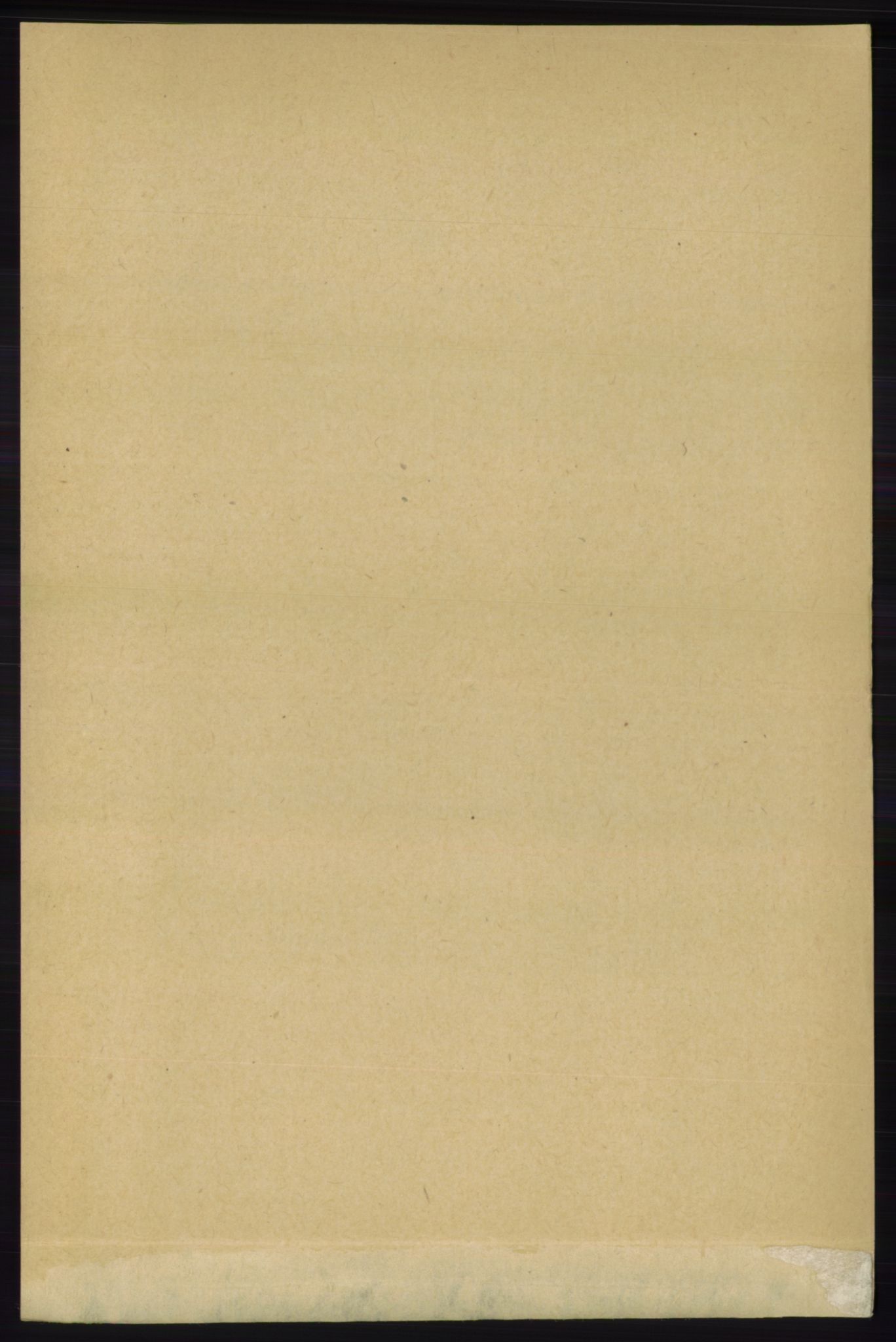 RA, 1891 census for 1139 Nedstrand, 1891, p. 1023