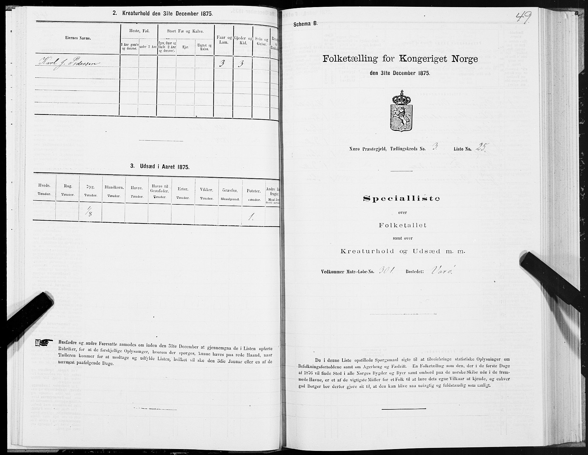 SAT, 1875 census for 1751P Nærøy, 1875, p. 2049