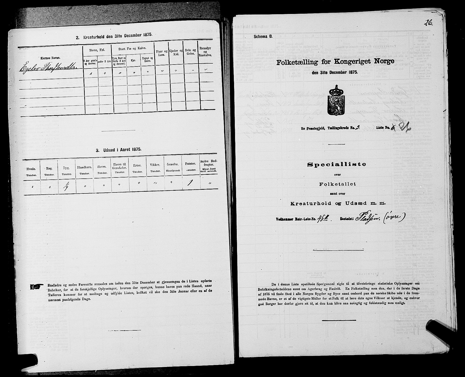 SAKO, 1875 census for 0821P Bø, 1875, p. 409