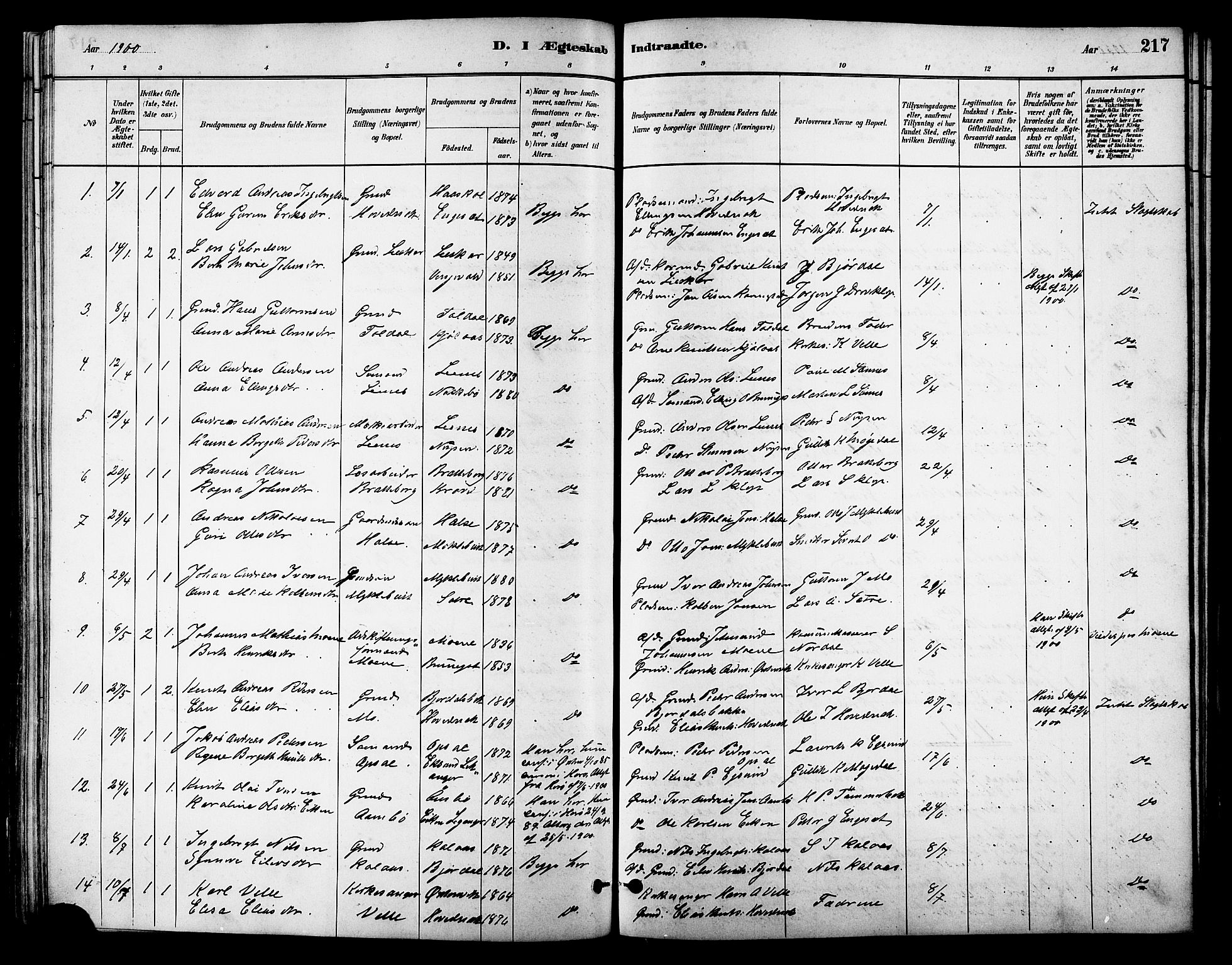 Ministerialprotokoller, klokkerbøker og fødselsregistre - Møre og Romsdal, SAT/A-1454/513/L0189: Parish register (copy) no. 513C03, 1883-1904, p. 217