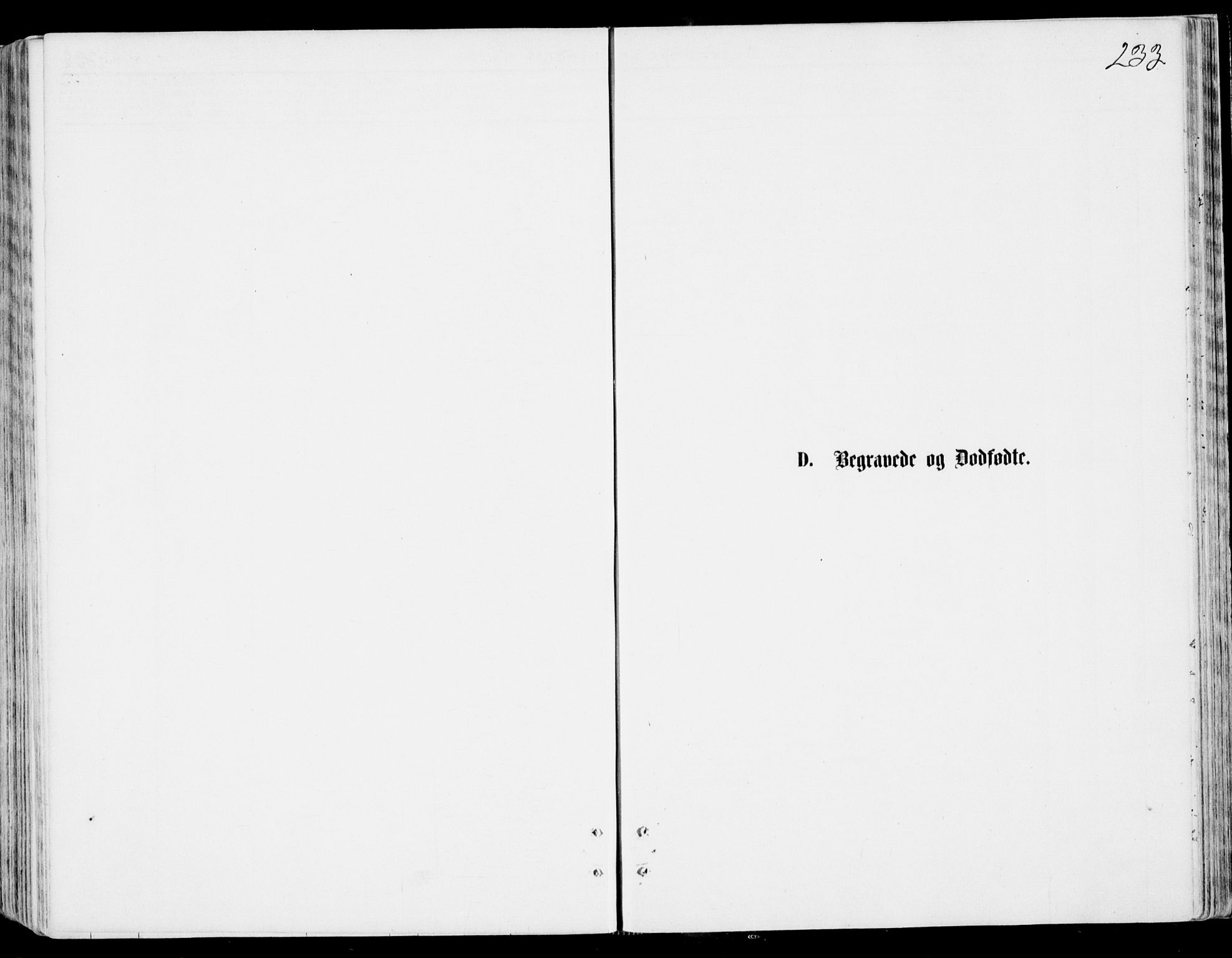 Lyngen sokneprestembete, AV/SATØ-S-1289/H/He/Hea/L0006kirke: Parish register (official) no. 6, 1870-1878, p. 233