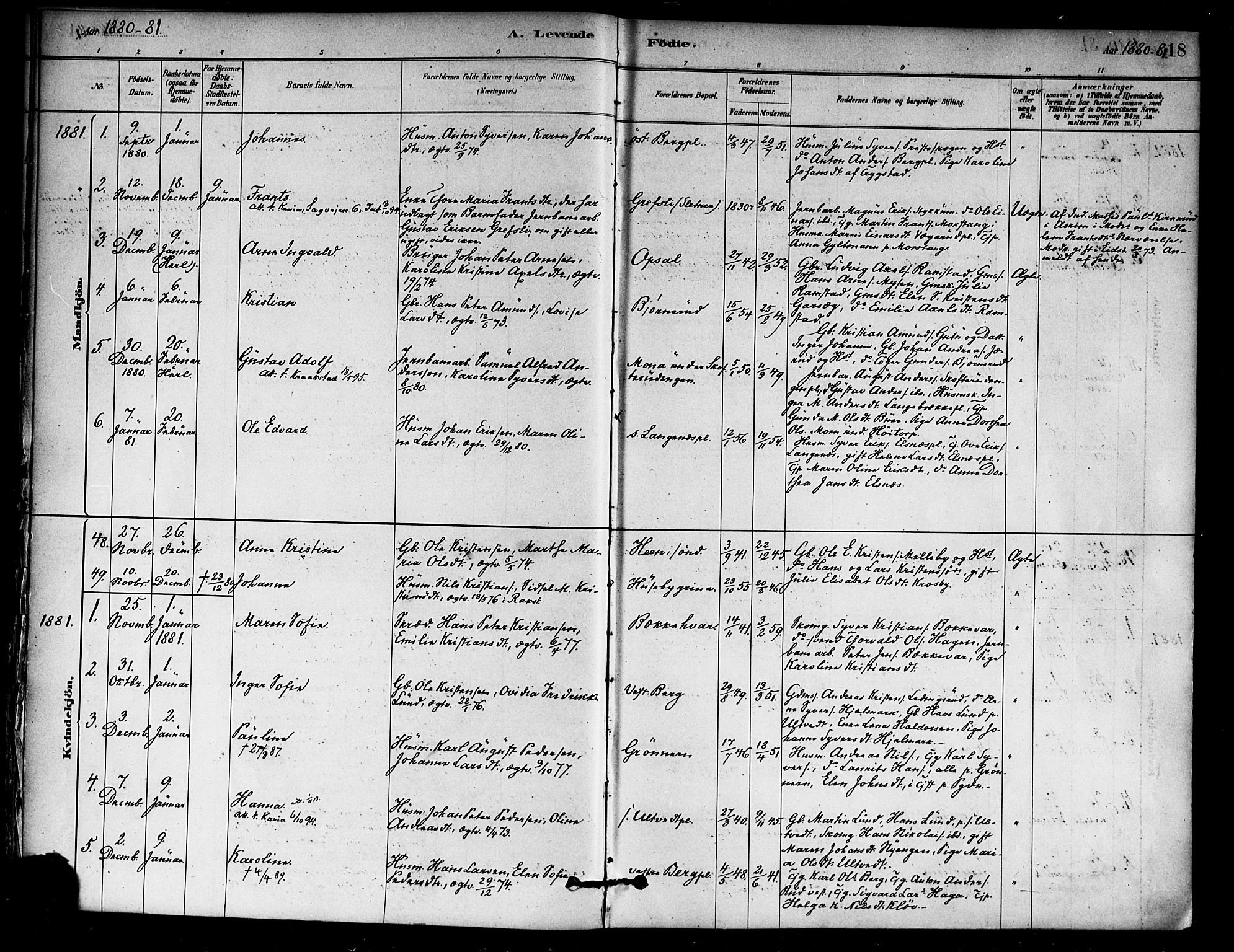 Eidsberg prestekontor Kirkebøker, SAO/A-10905/F/Fa/L0012: Parish register (official) no. I 12, 1879-1901, p. 18