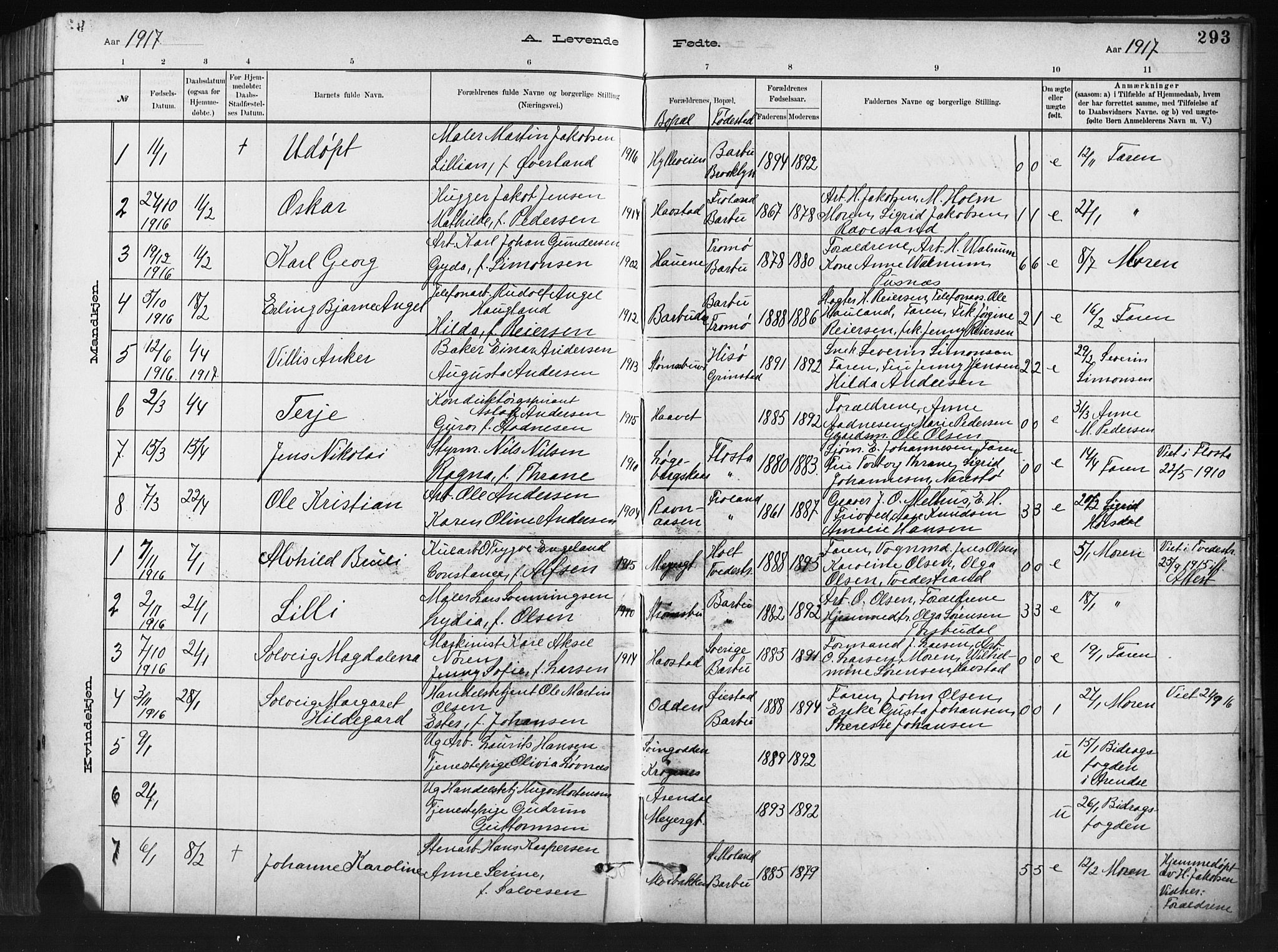 Barbu sokneprestkontor, SAK/1111-0003/F/Fb/L0002: Parish register (copy) no. B 2, 1890-1922, p. 293