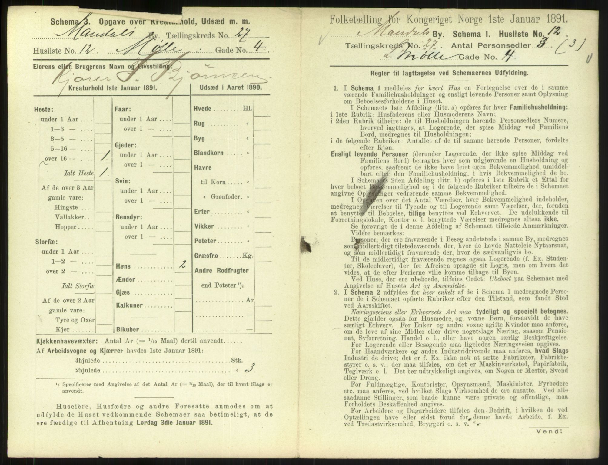 RA, 1891 census for 1002 Mandal, 1891, p. 1217